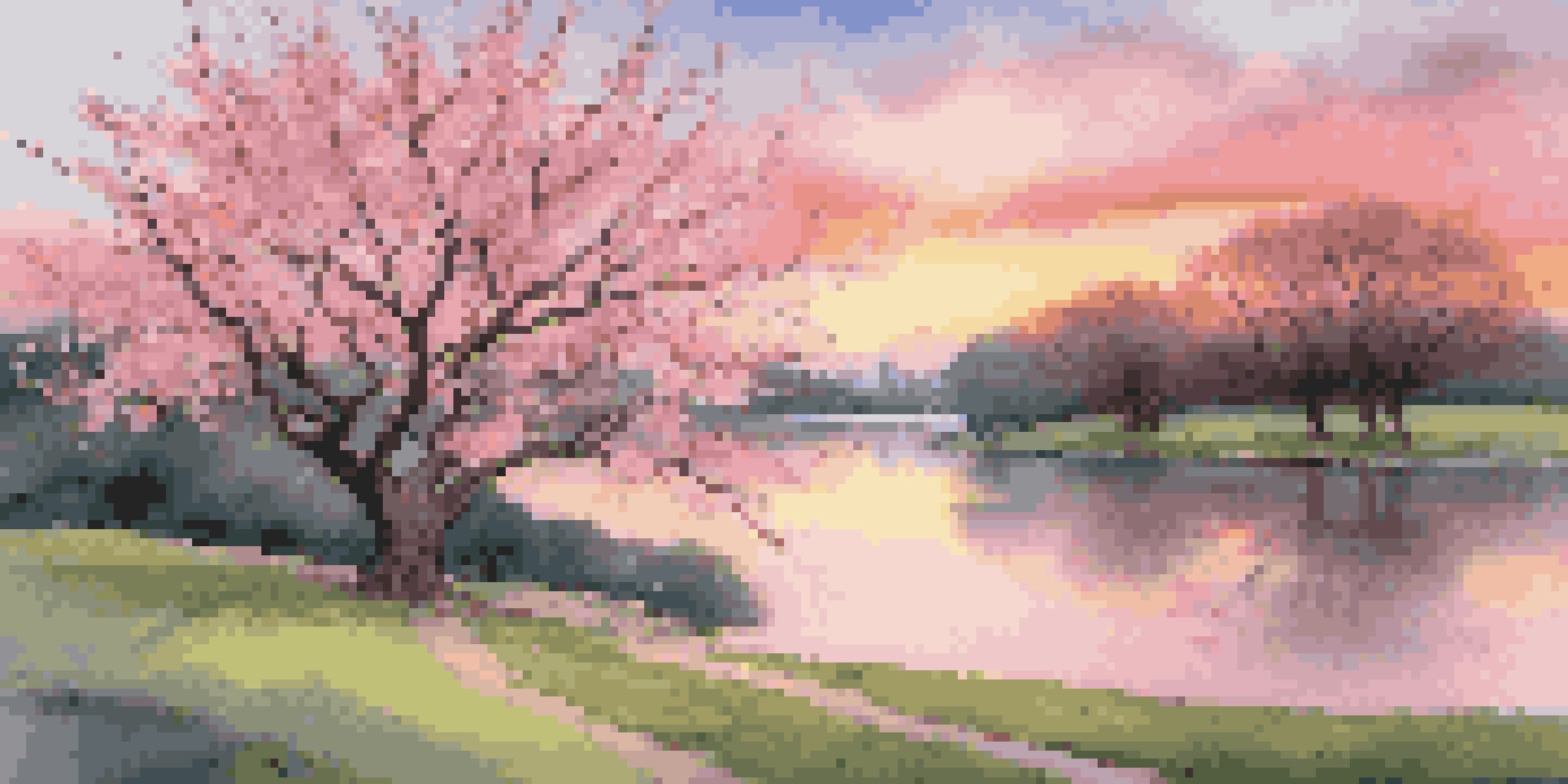 A cherry blossom tree in full bloom by a tranquil pond during sunset, with falling petals and lush greenery.