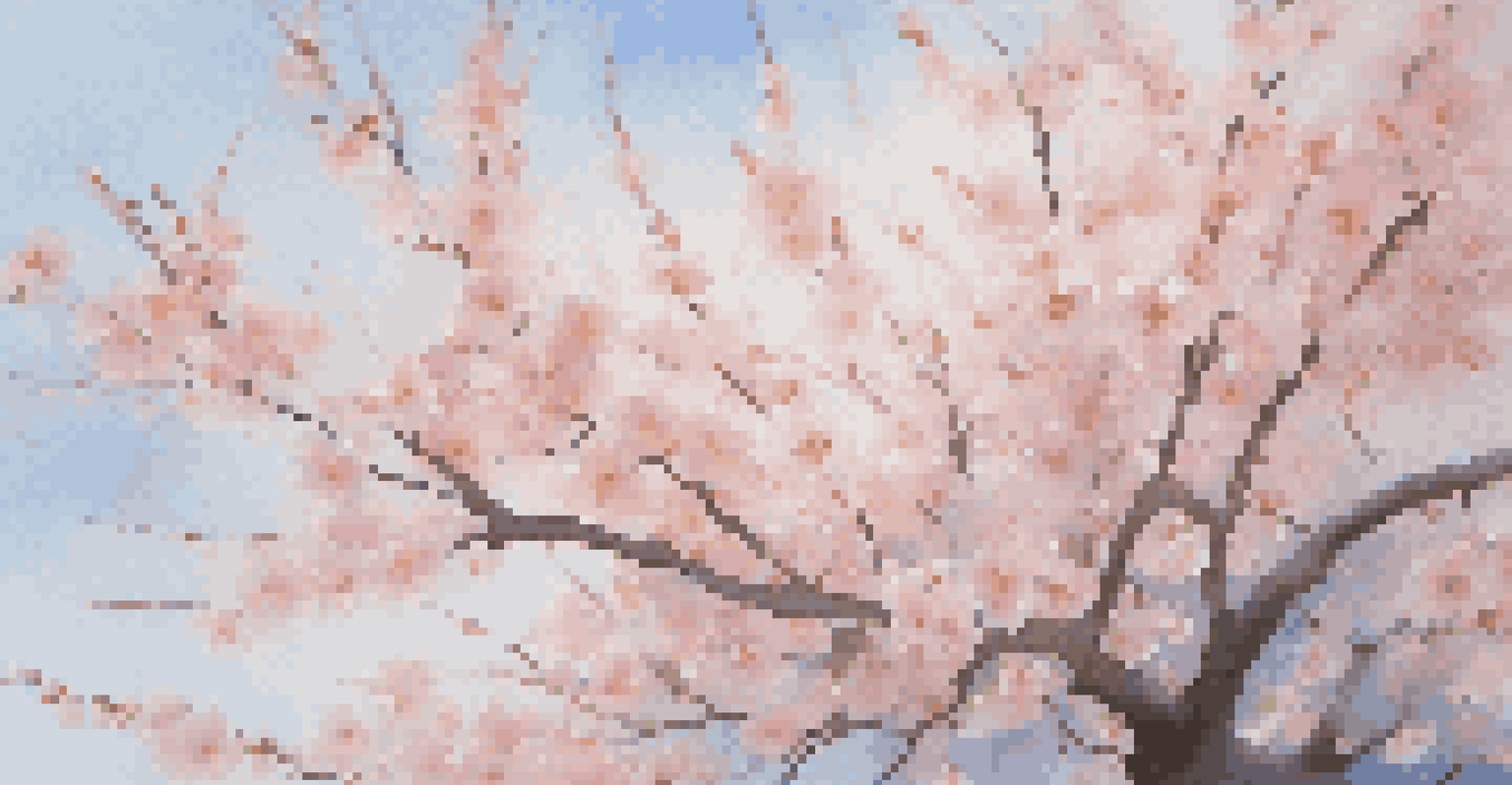 Close-up of cherry blossoms with pink petals against a blue sky, illuminated by sunlight.