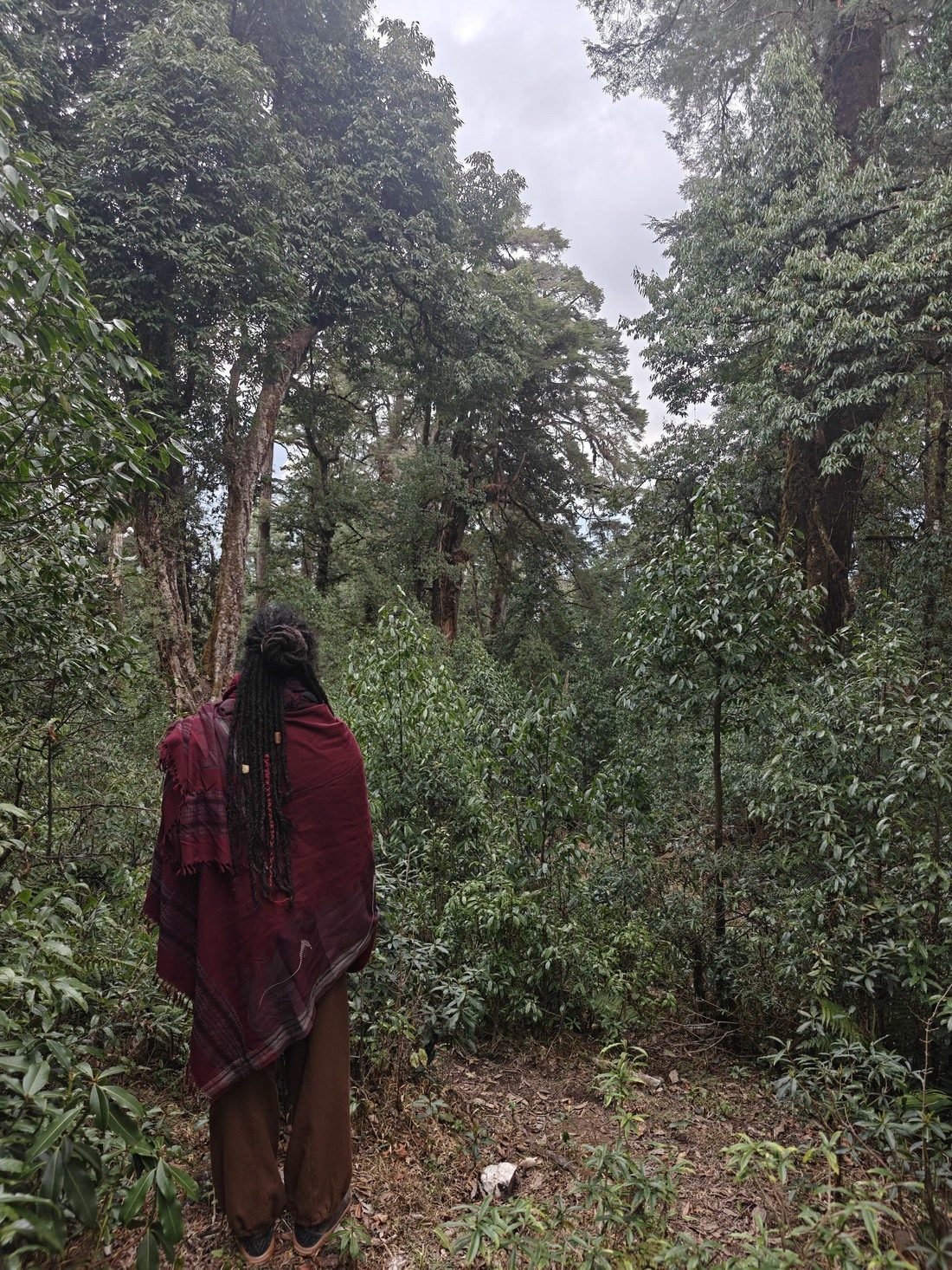 Jatadhari KD in a crimson shawl, facing into forest