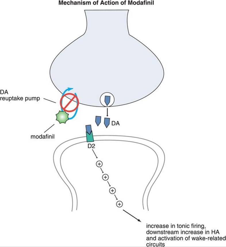 Modafinil Mechanism of Action