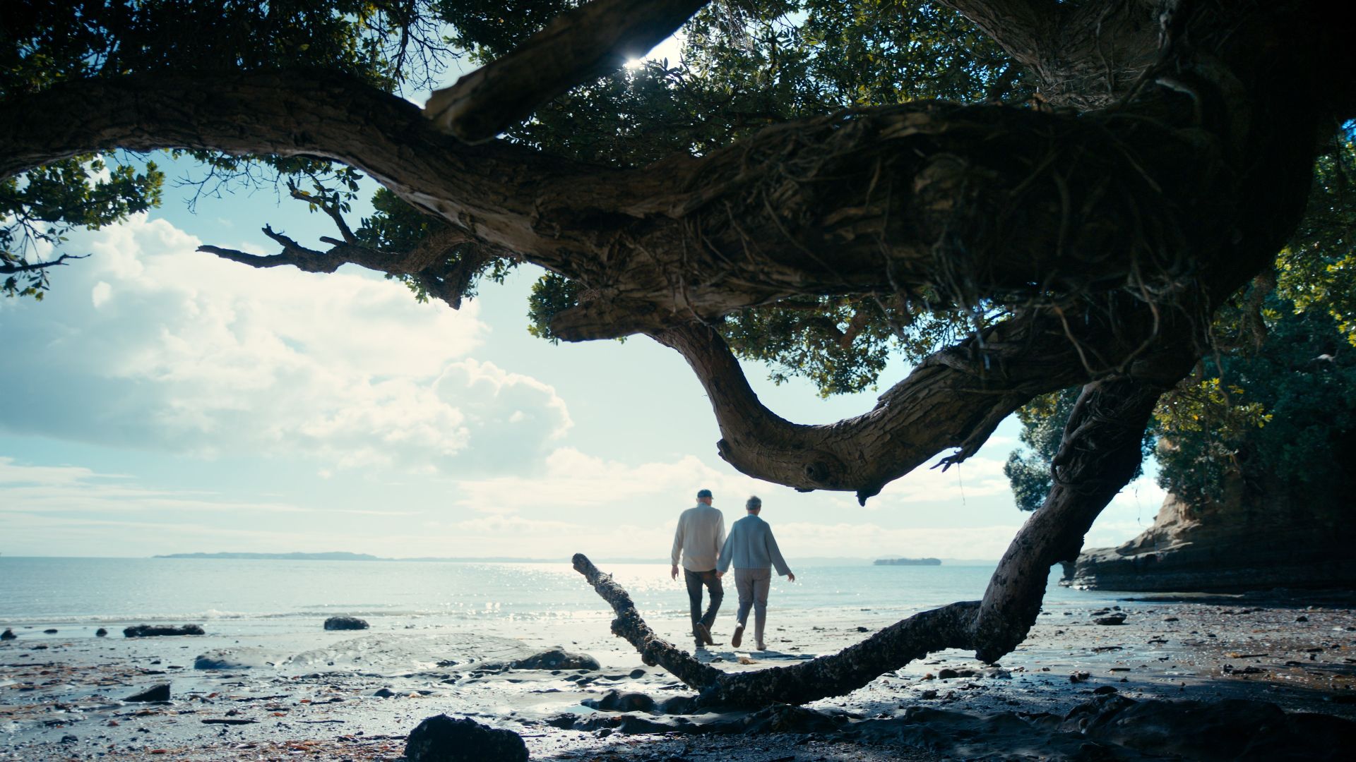 Southern Cross Partners