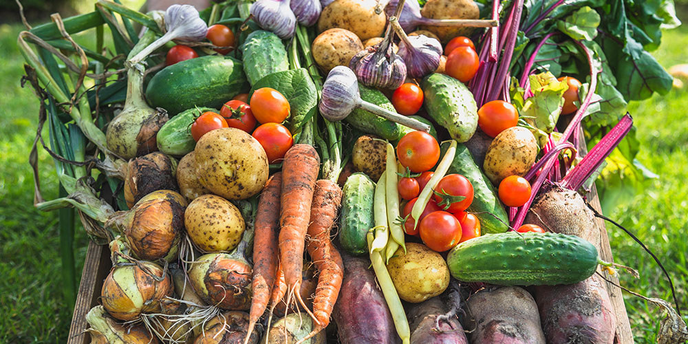 Grow Your Own Herbs and Vegetables