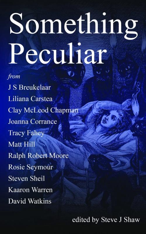 cover image of the book Something Peculiar XI