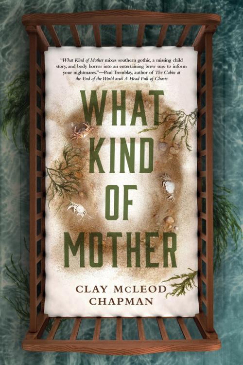 cover image of the book WHAT KIND OF MOTHER: A Novel