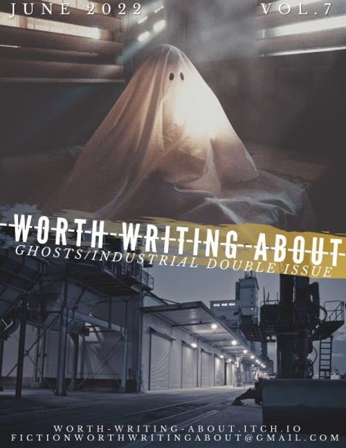 cover image of the book Worth Writing About