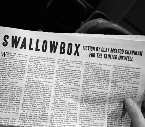 cover image of the book Daily Lurker