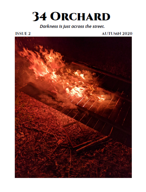 cover image of the book 34 Orchard: Issue 2, Autumn 2020
