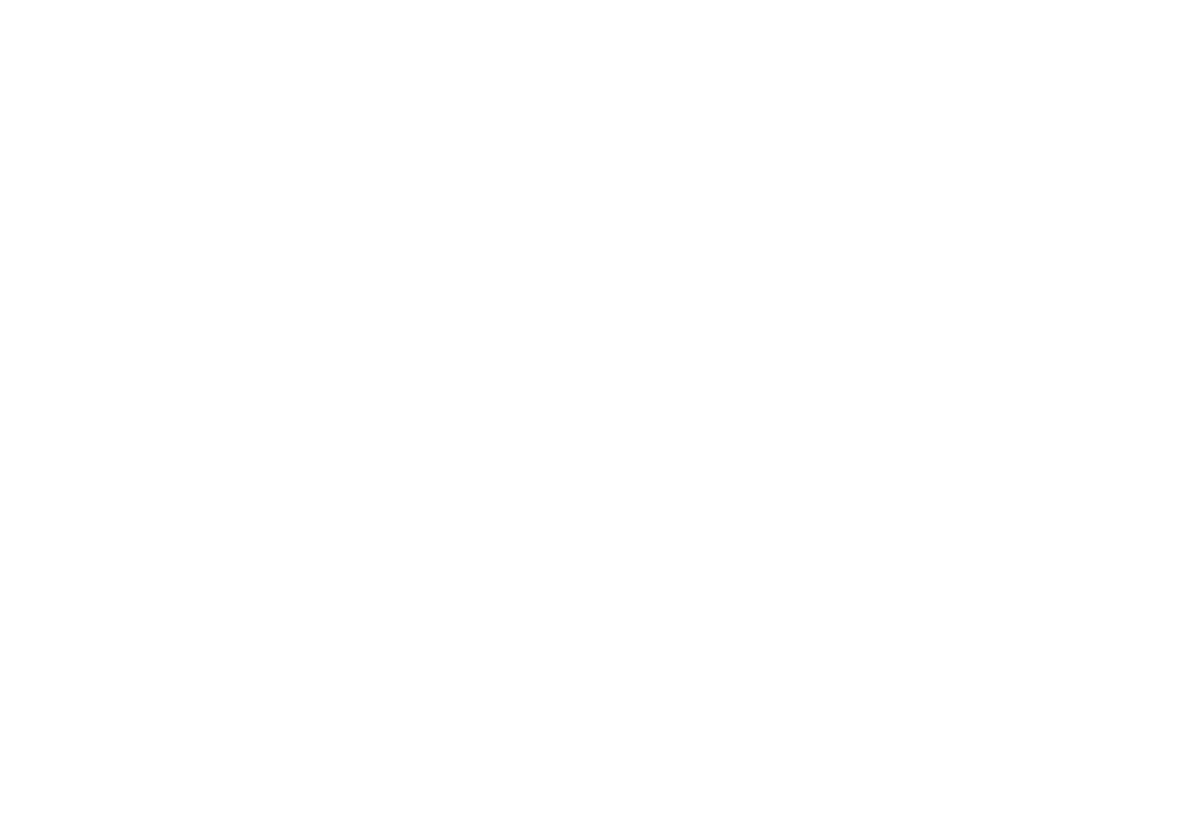 RSA logo white