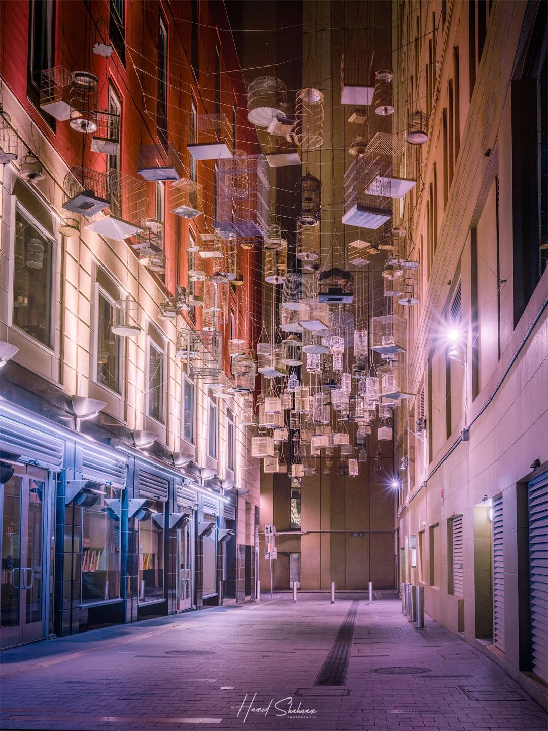 Hanging birdcages above a narrow city laneway illuminated at night.