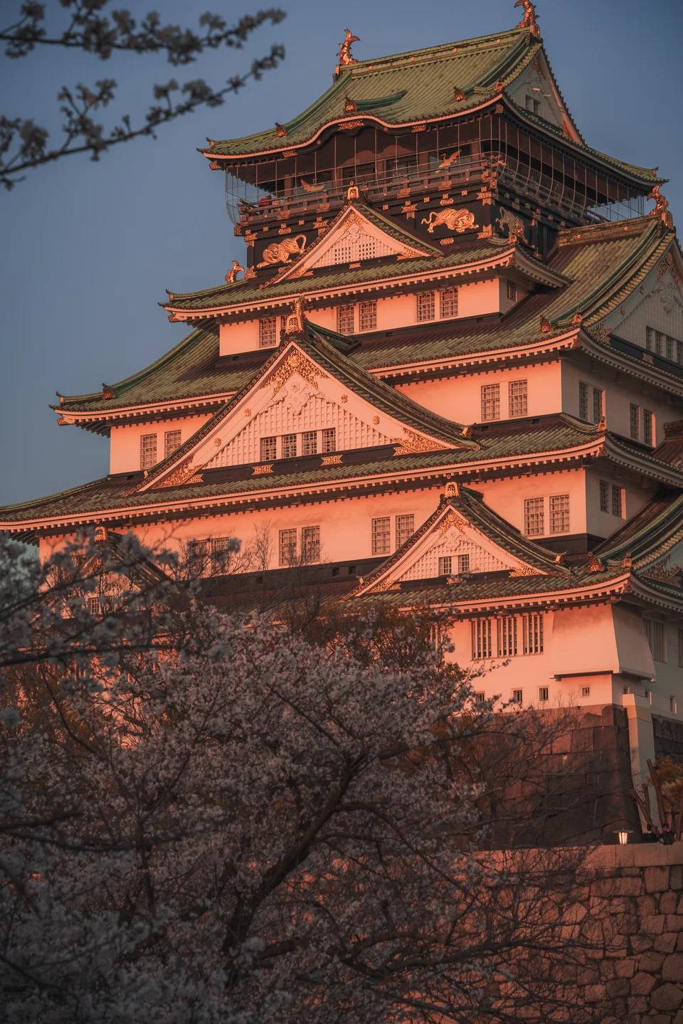 Warm sunlight on the tiers of a castle above spring blossom.
