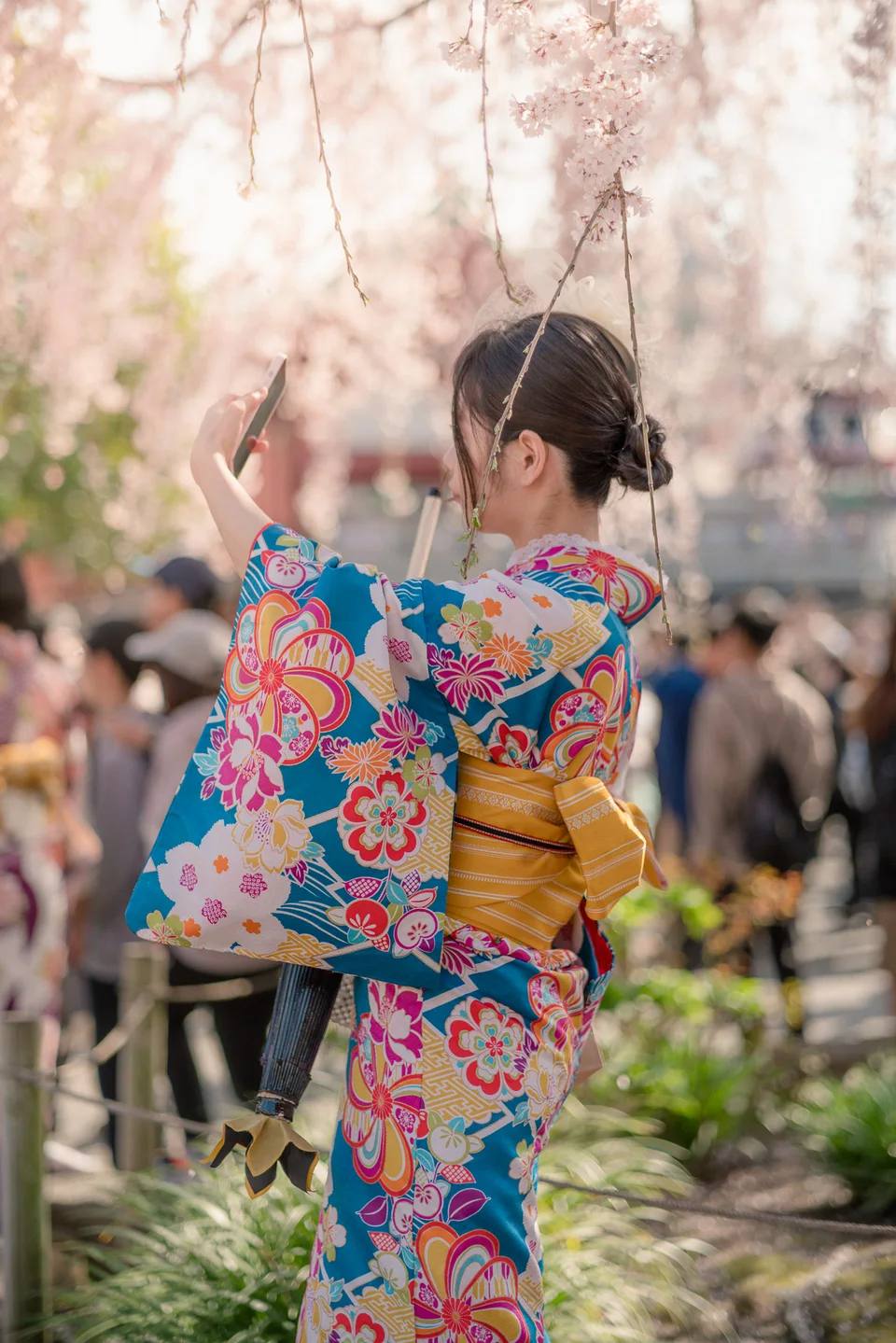 A person wearing a floral kimono beneath cherry blossoms.