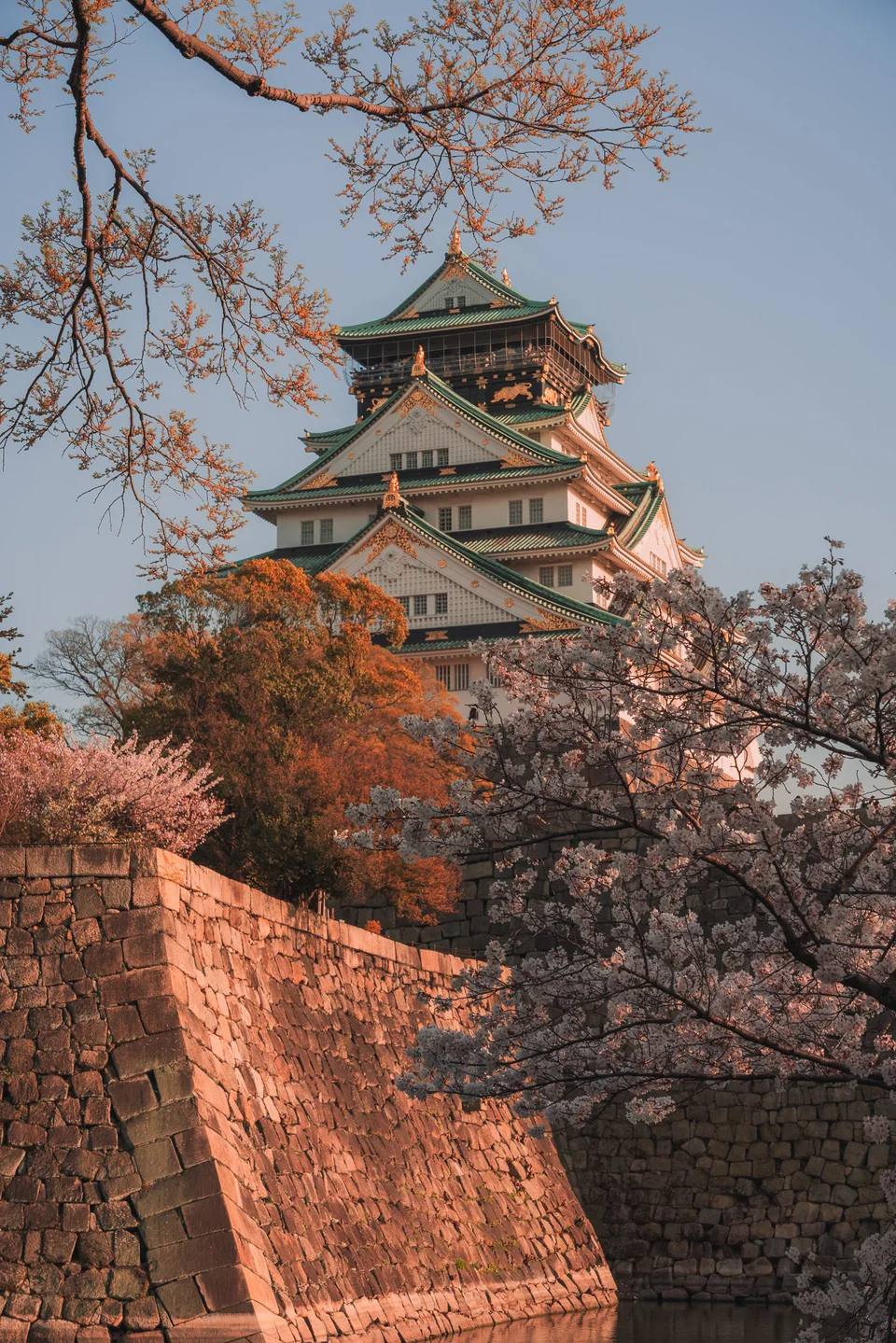 A castle rising above cherry blossoms and stone ramparts.
