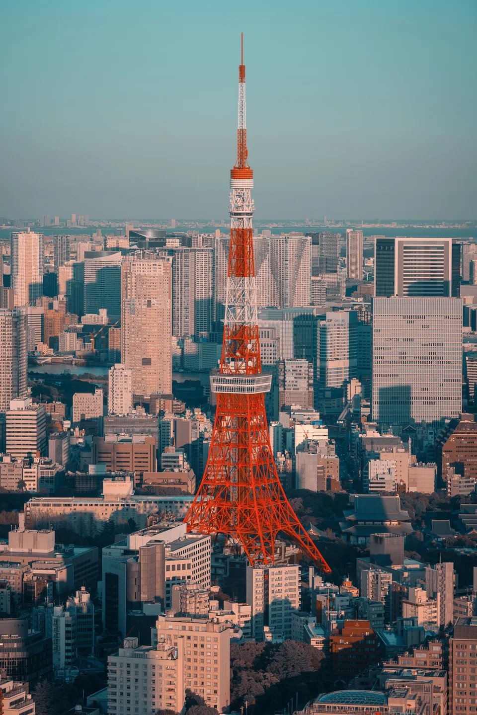 Tokyo Tower rising above dense city buildings.