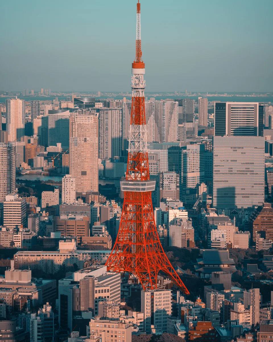 Tokyo Tower rising above dense city buildings.