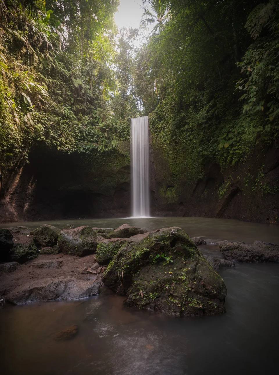 A slender waterfall dropping into a shaded forest pool.