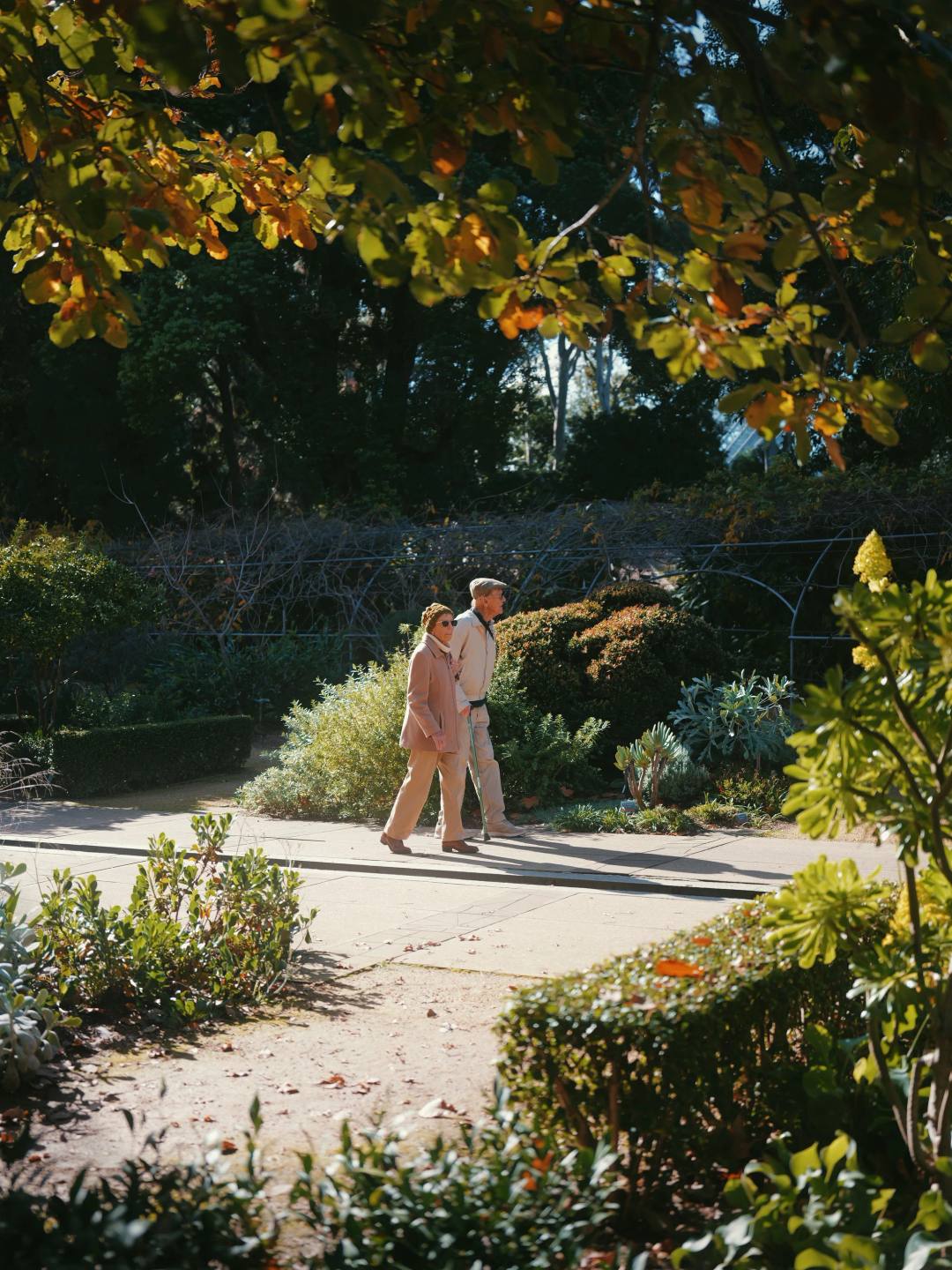 A person walking along a sunlit garden path.