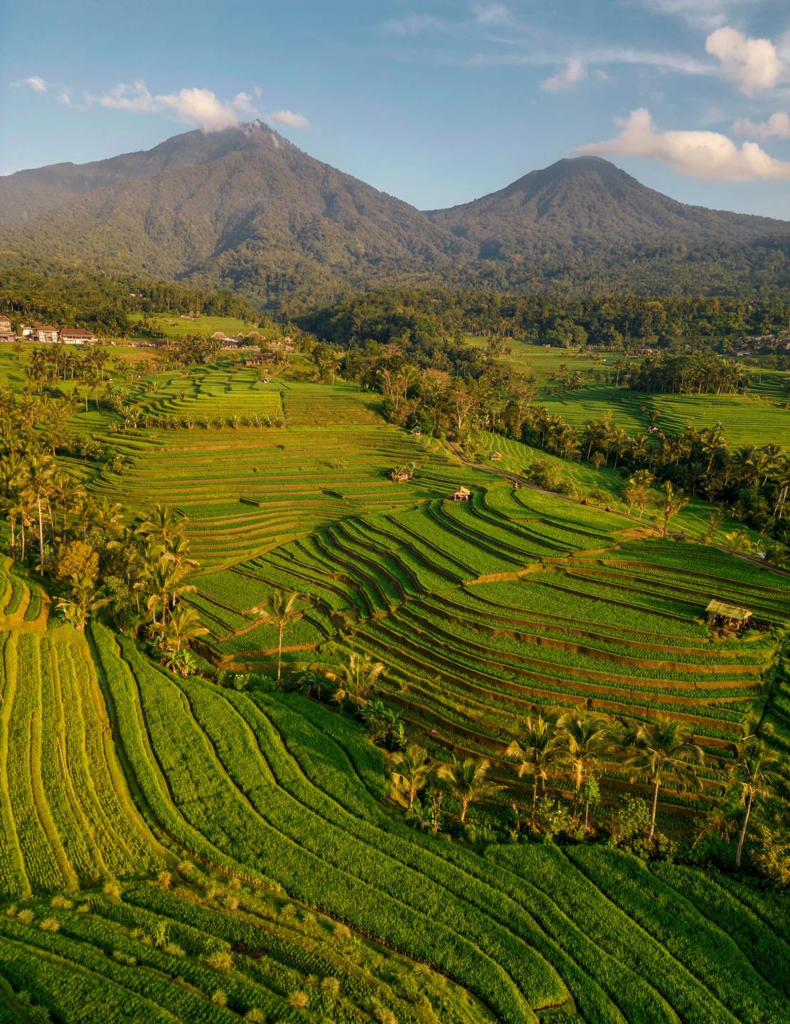 Green rice terraces beneath a mountain and blue sky.