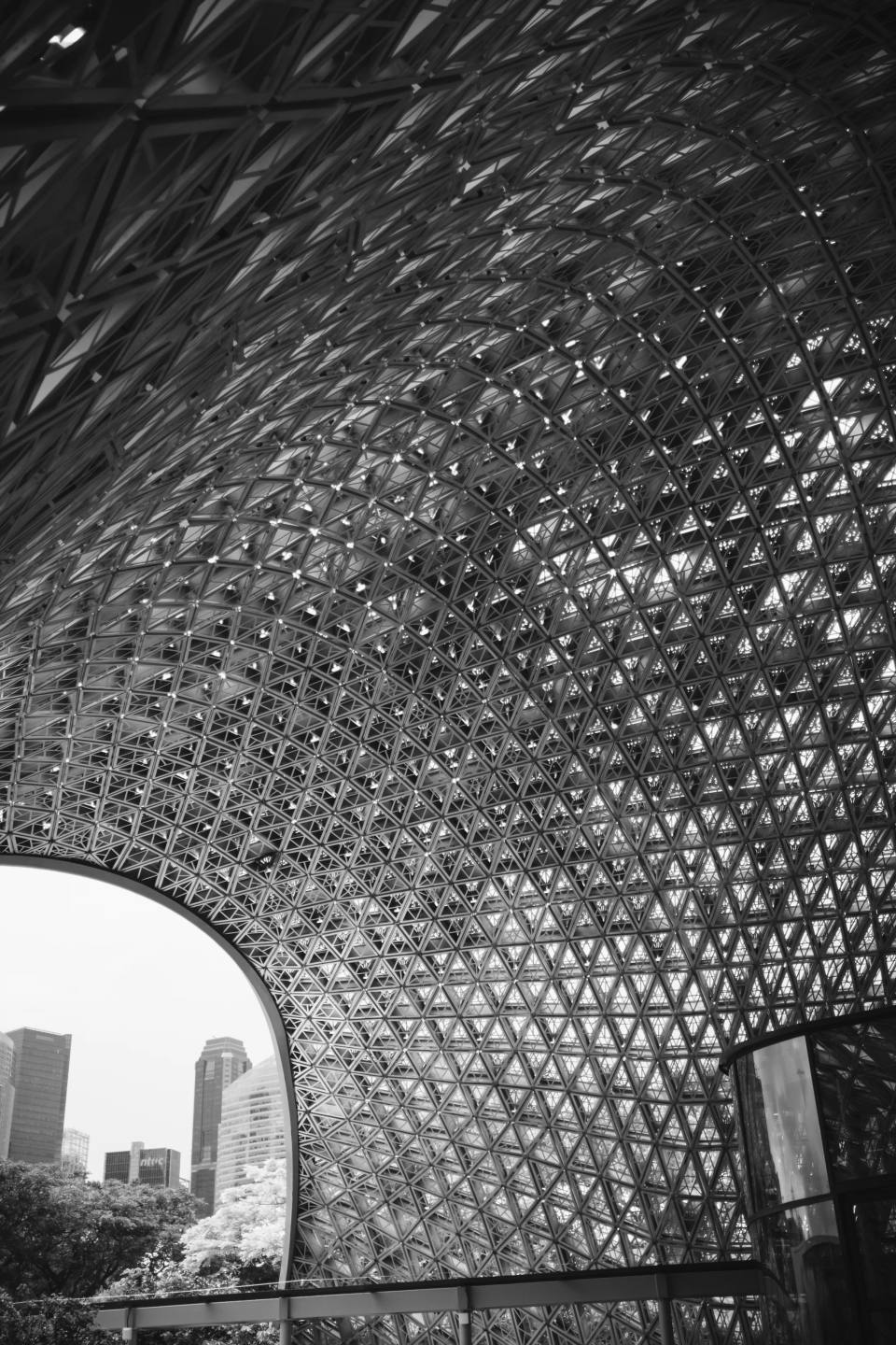 A geometric canopy silhouetted in black and white.