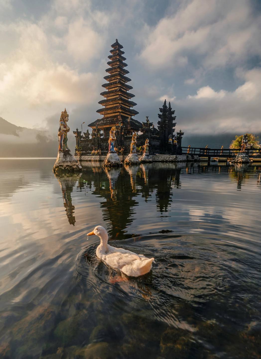 A waterbird beside a temple reflected in a lake.