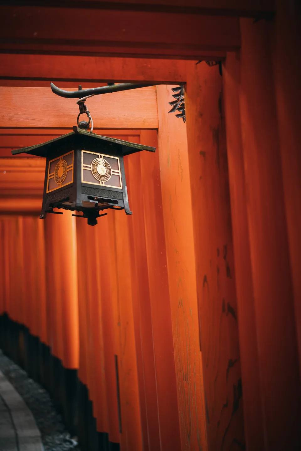 A lantern hanging between vermilion shrine gates.