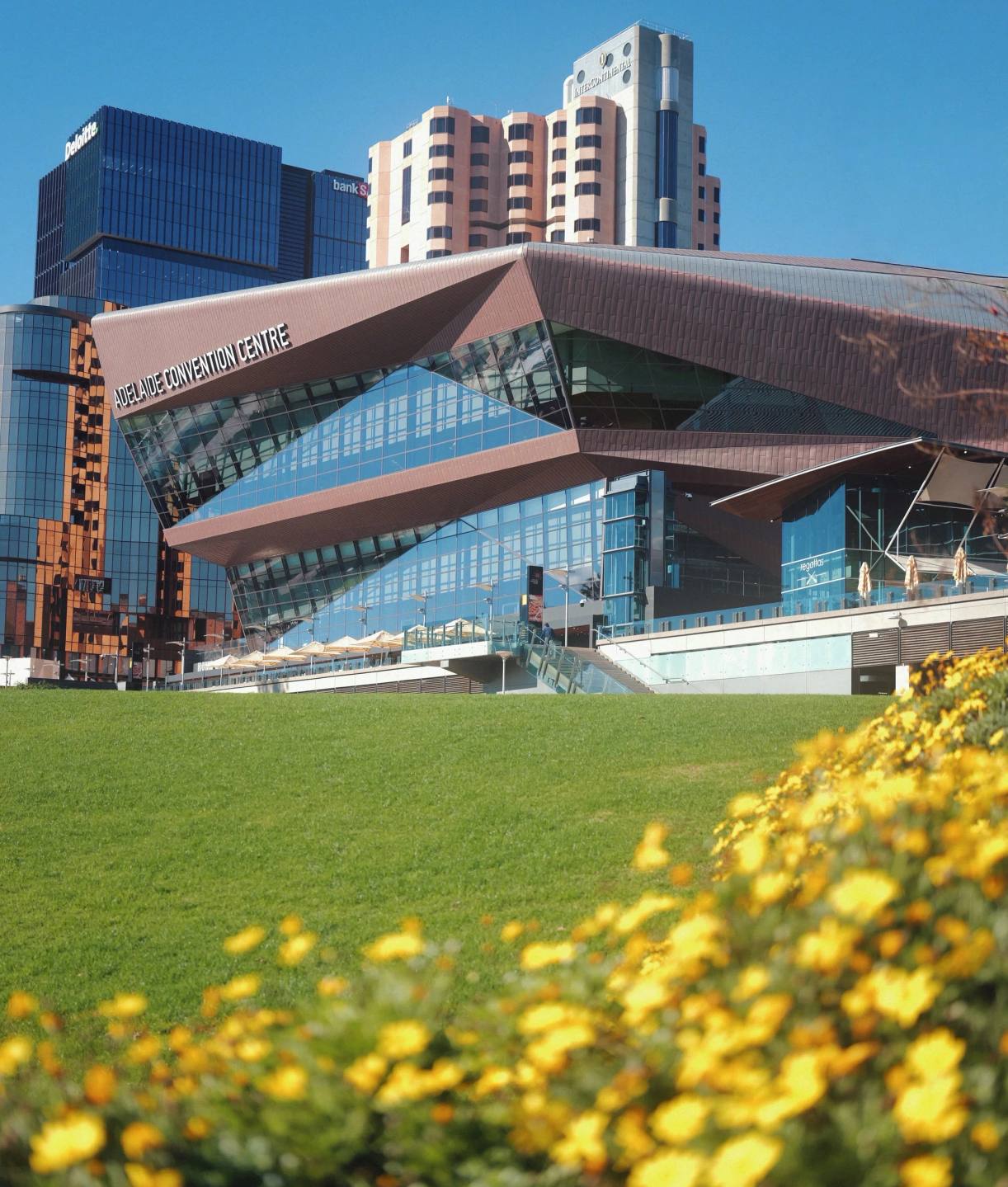 Modern buildings beside a lawn dotted with yellow flowers.