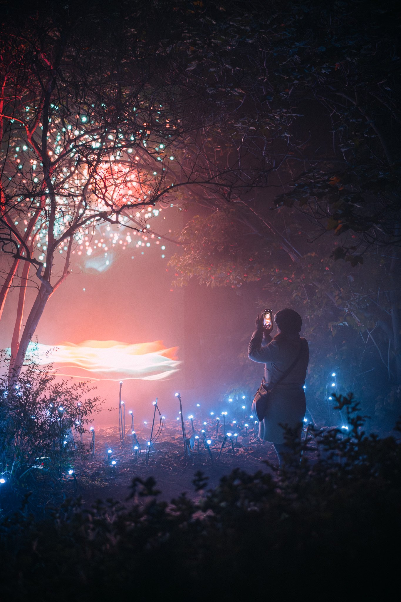 light show