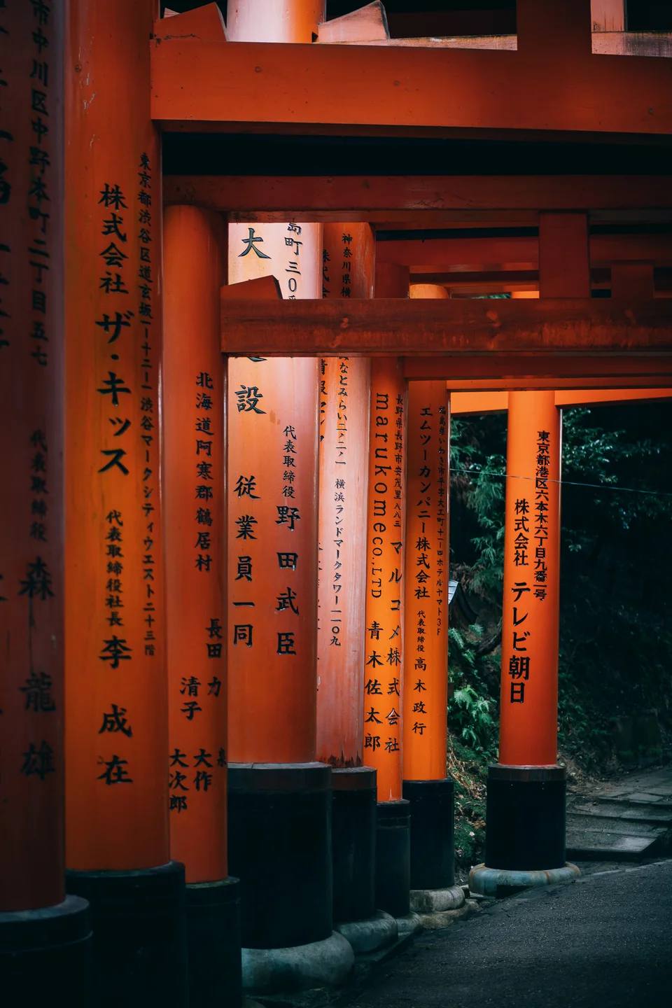 A receding sequence of vermilion shrine gates.