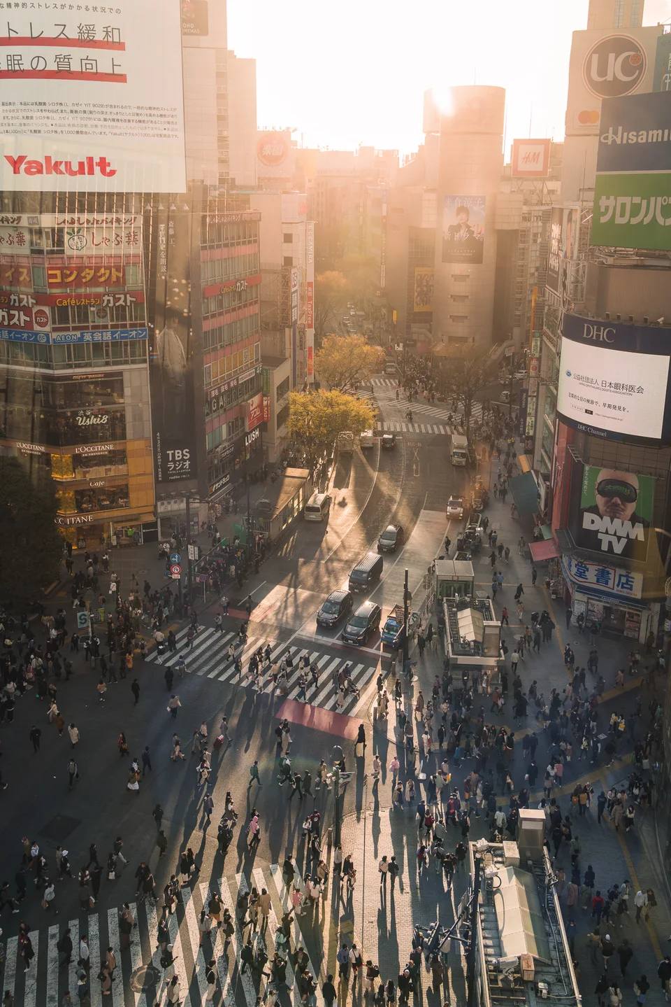 An elevated view of a busy city crossing in golden evening light.
