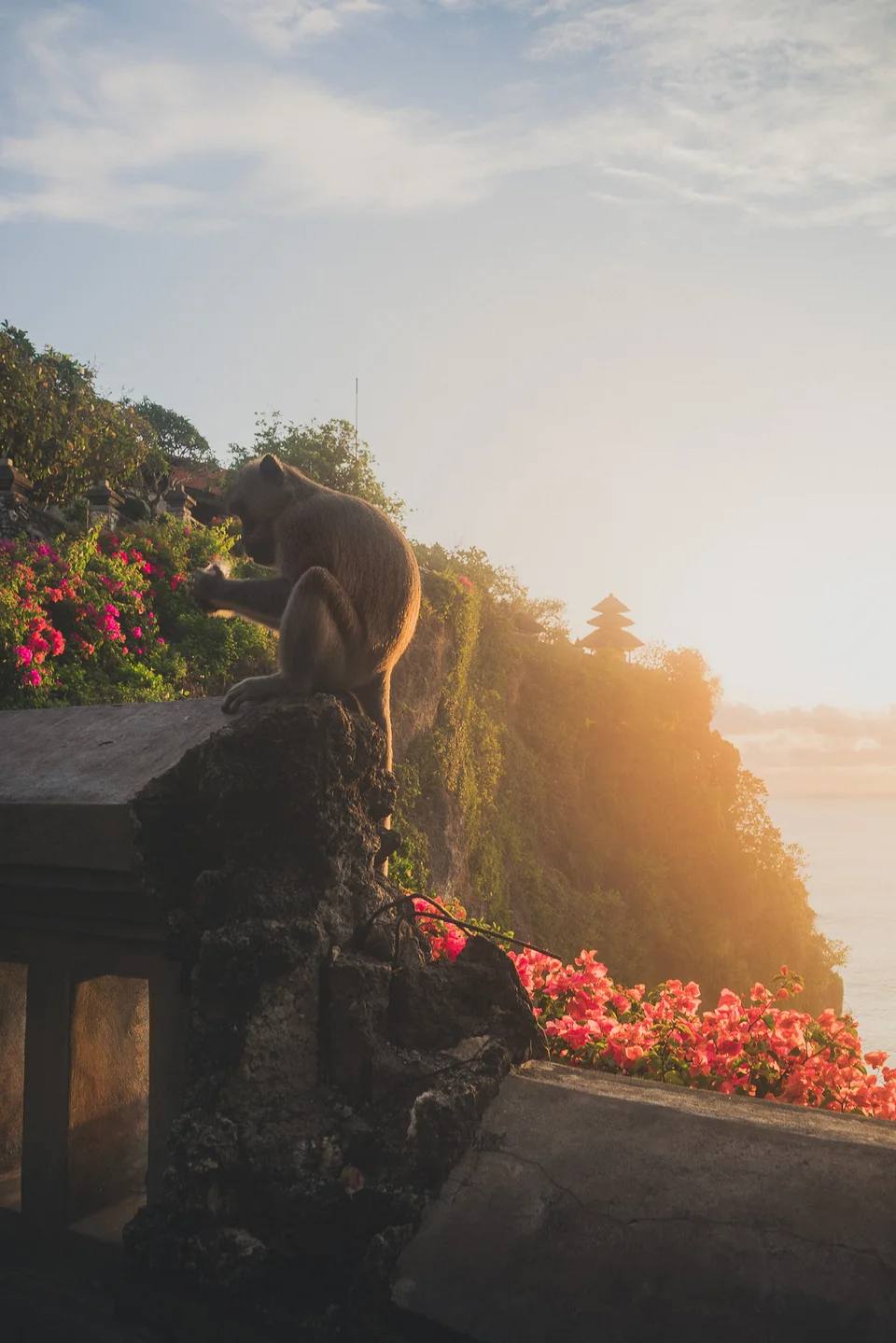 A stone statue and flowers above the coastline in warm evening light.
