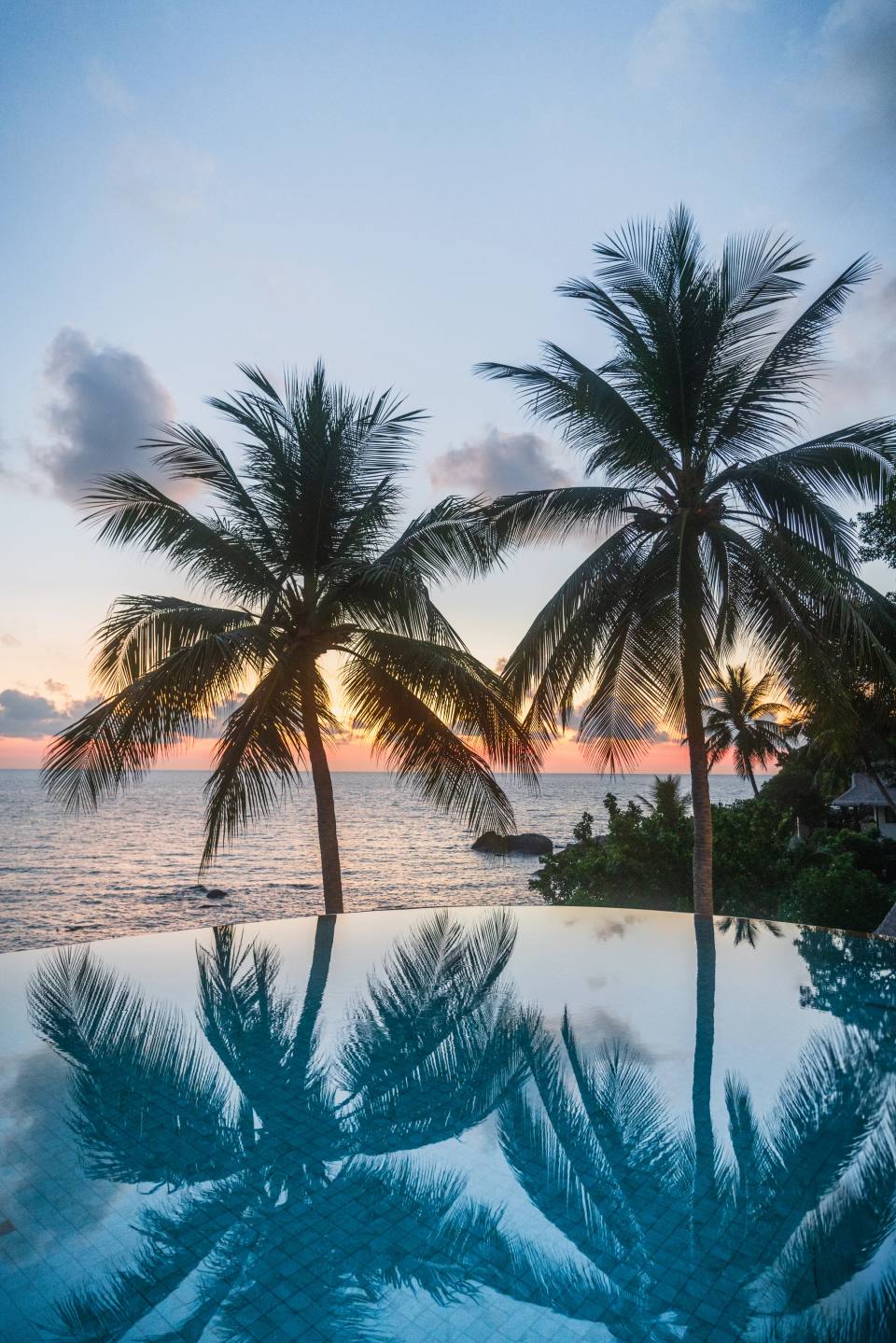 Palm trees reflected in a pool at sunset.