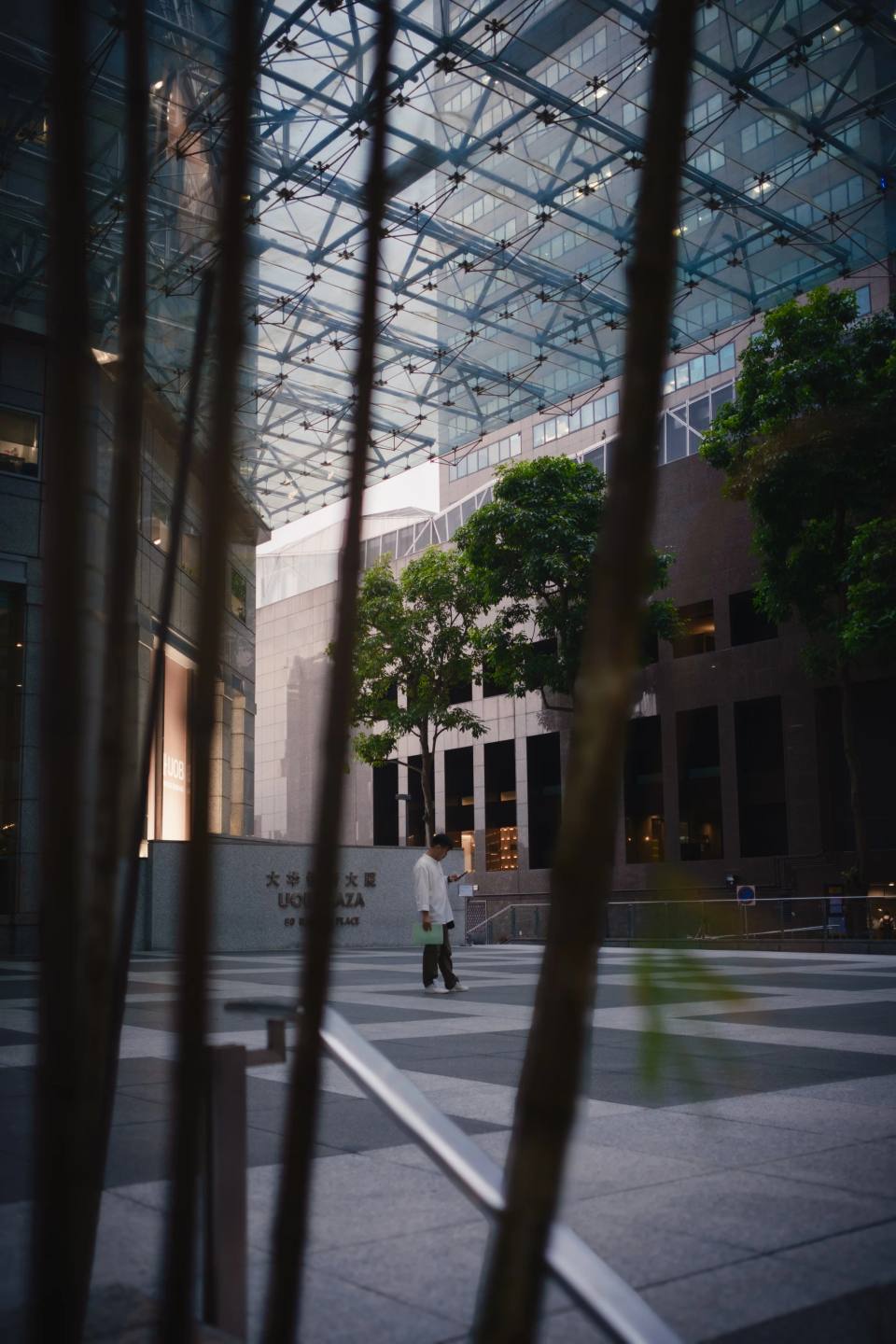 A pedestrian beneath a high glass canopy.