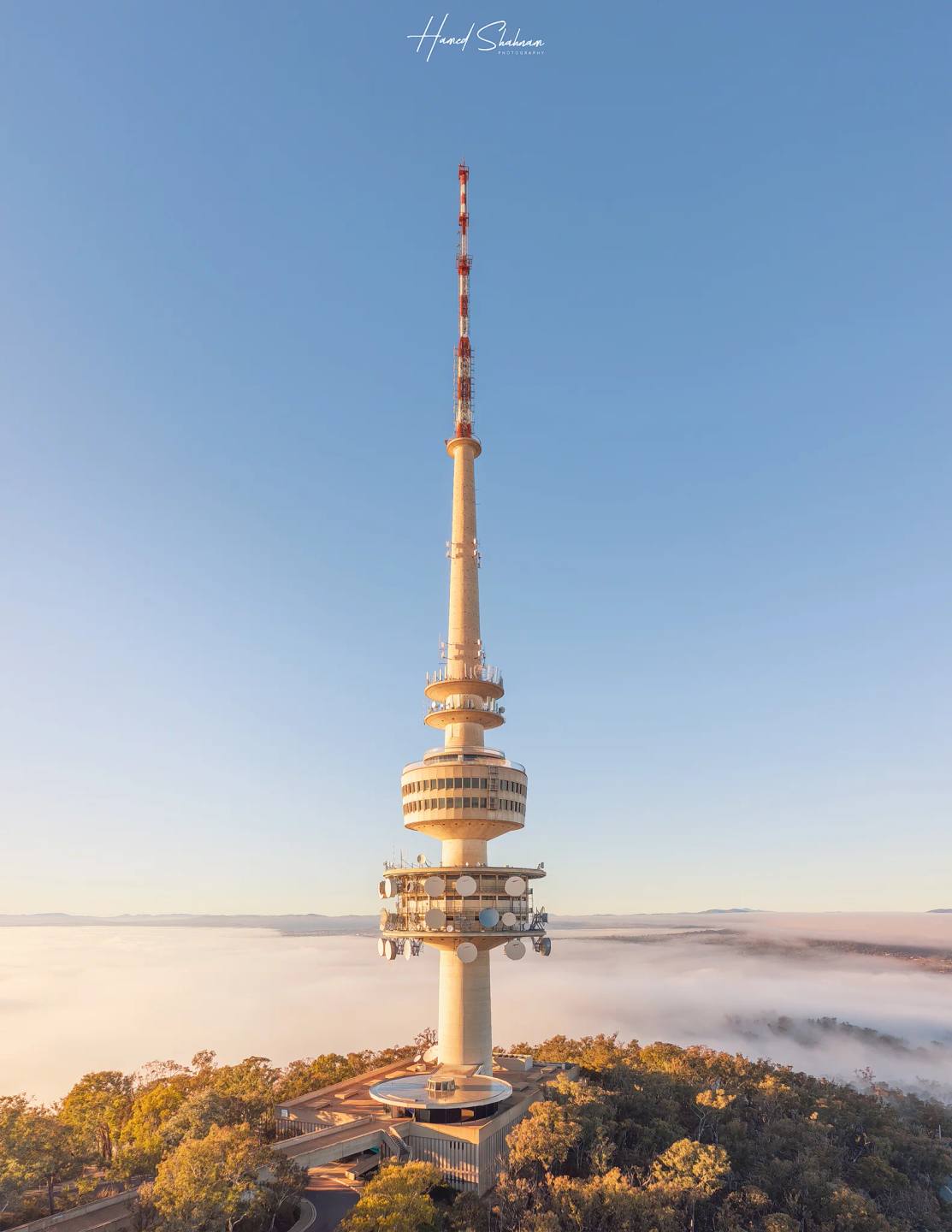 Telstra Tower rising above treetops and a blanket of morning fog.