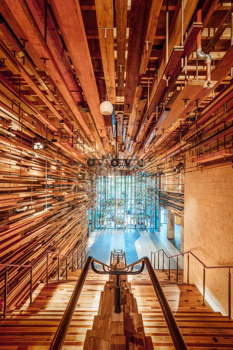 A staircase beneath a dense canopy of suspended timber at Hotel Hotel.