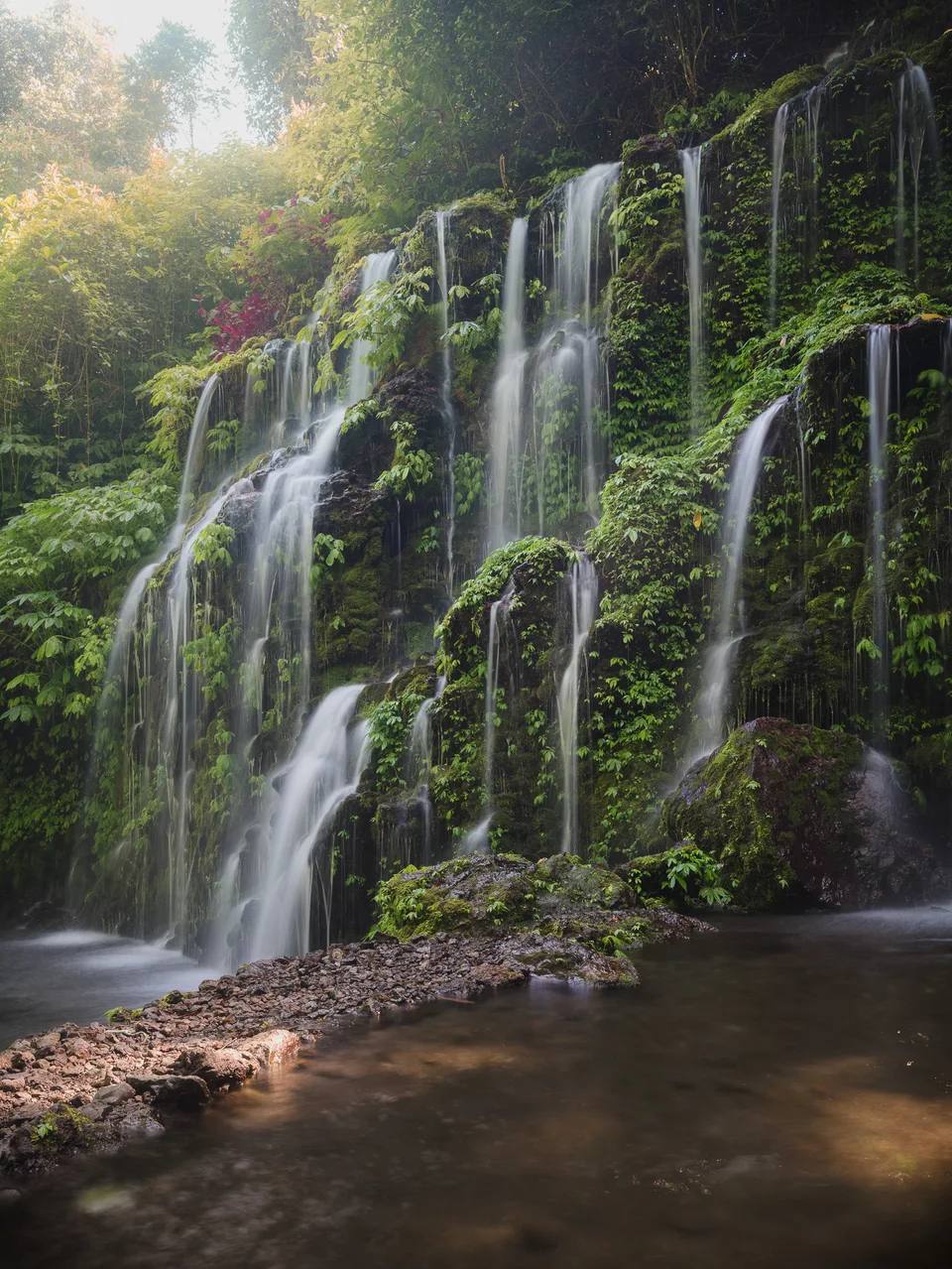 Water cascading over a broad cliff surrounded by dense forest.