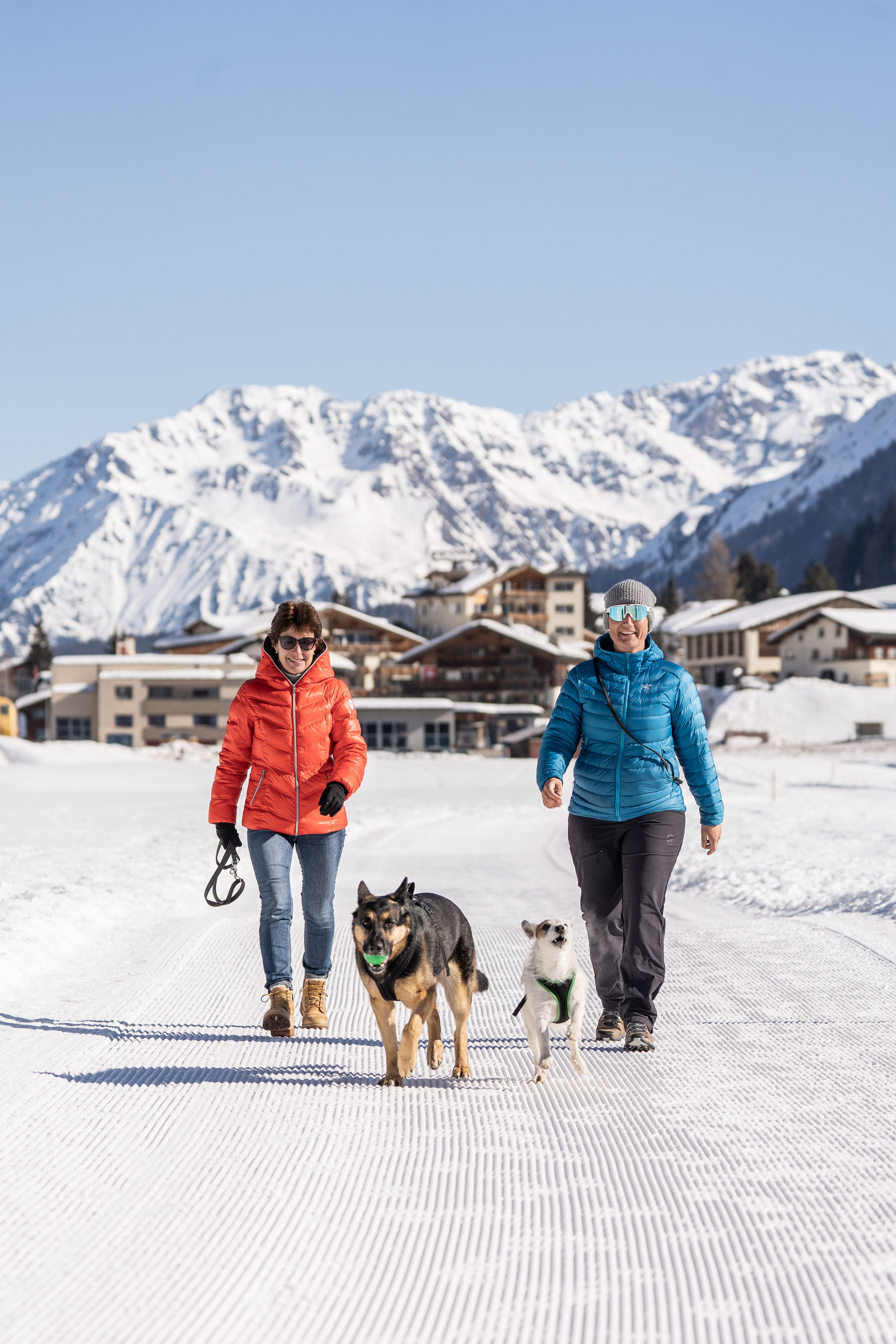 Ferien mit Hund in Davos im Winter