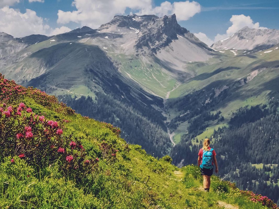 Wandern am Rinerhorn Monstein im Sommer