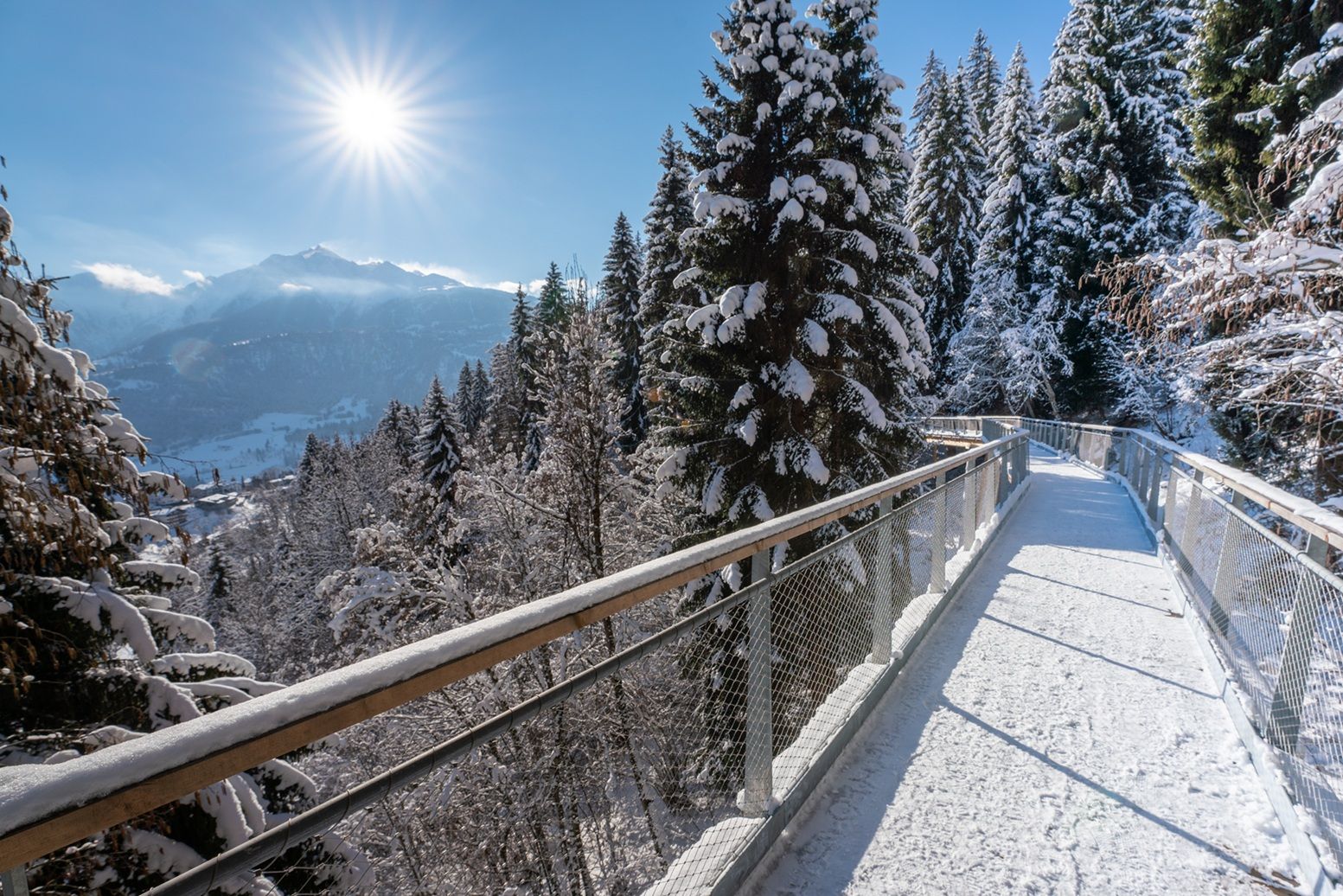 Treetop Walk Laax