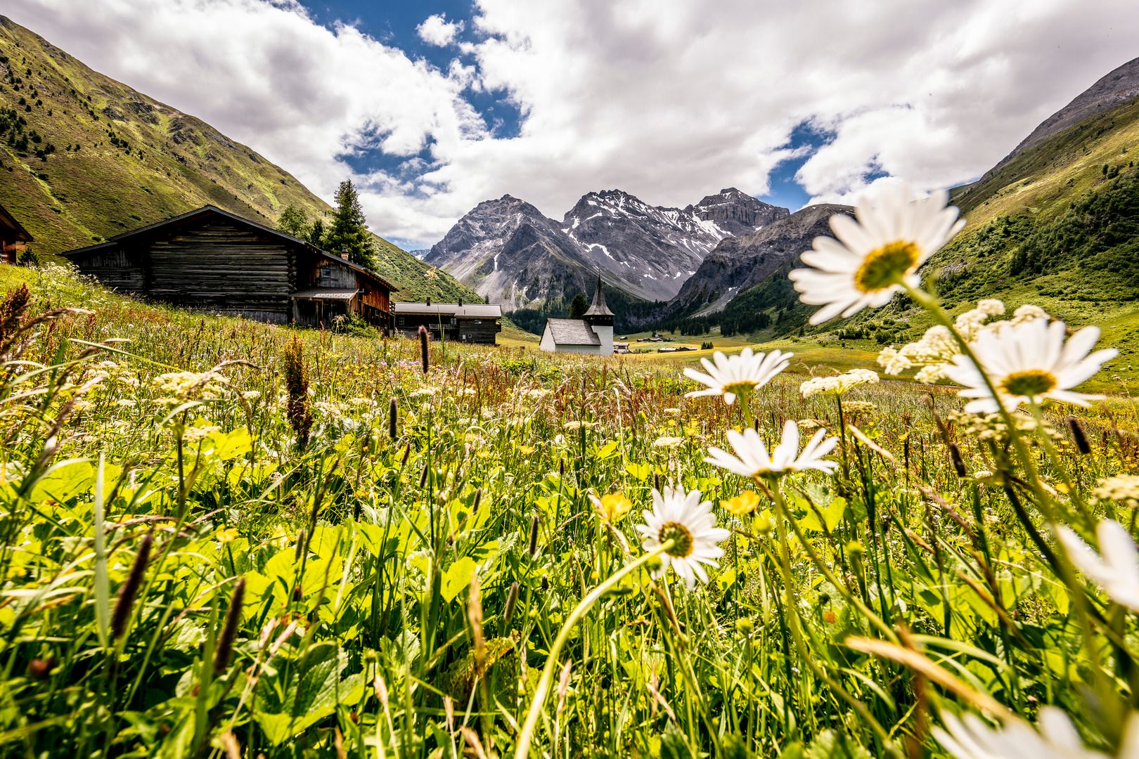 Davos Sommer Wiese Kirche Blumen