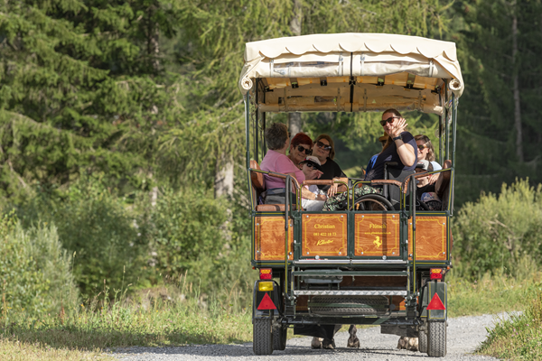 Kutschefahren Sommer
