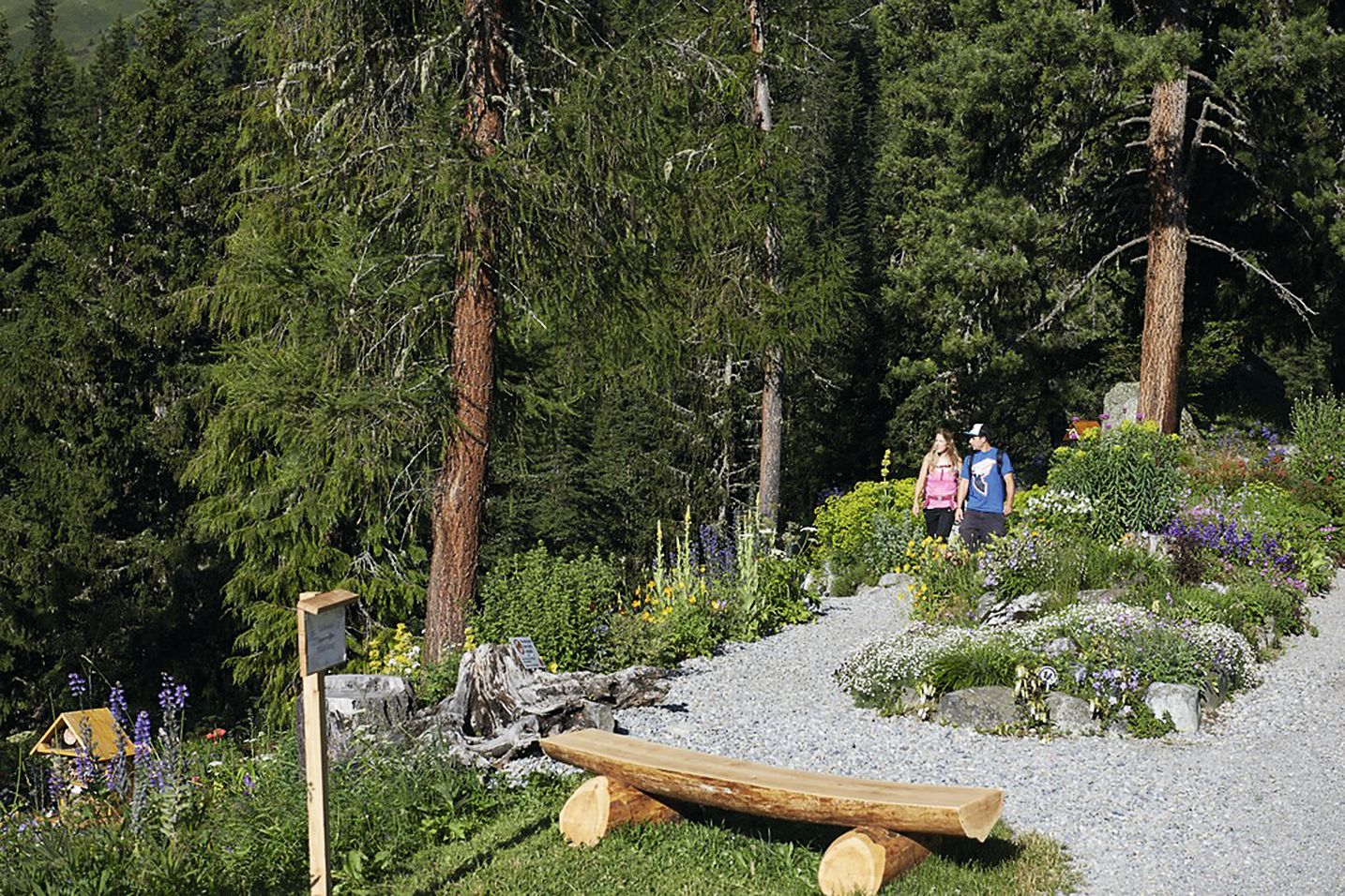 Botanical Guided Tour Schatzalp