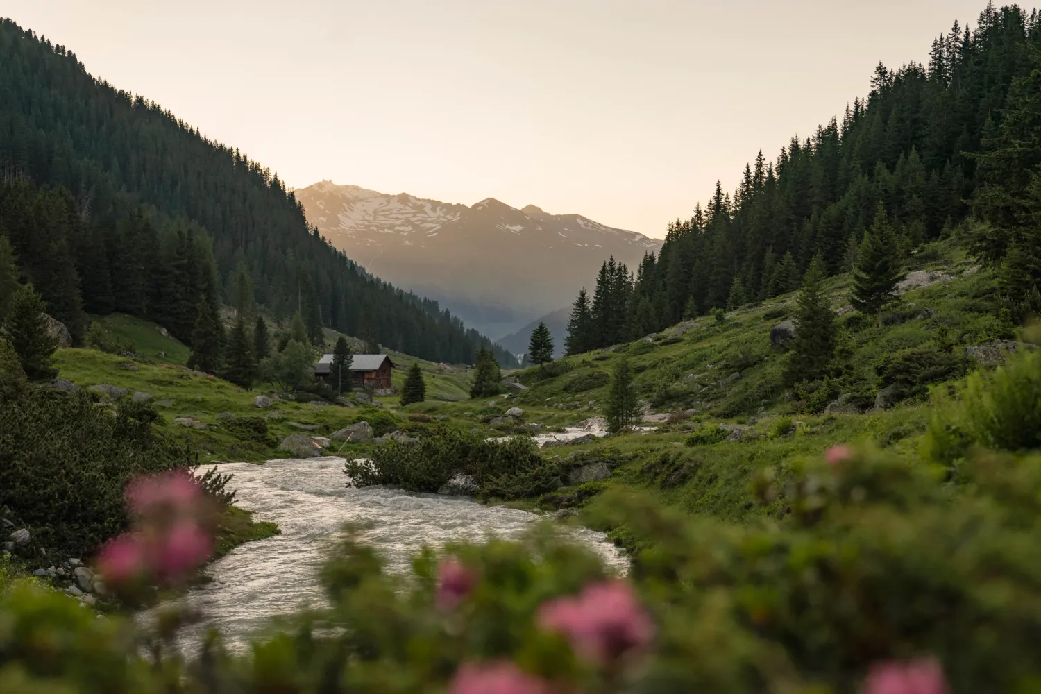 Dischmatal in Davos im Frühling