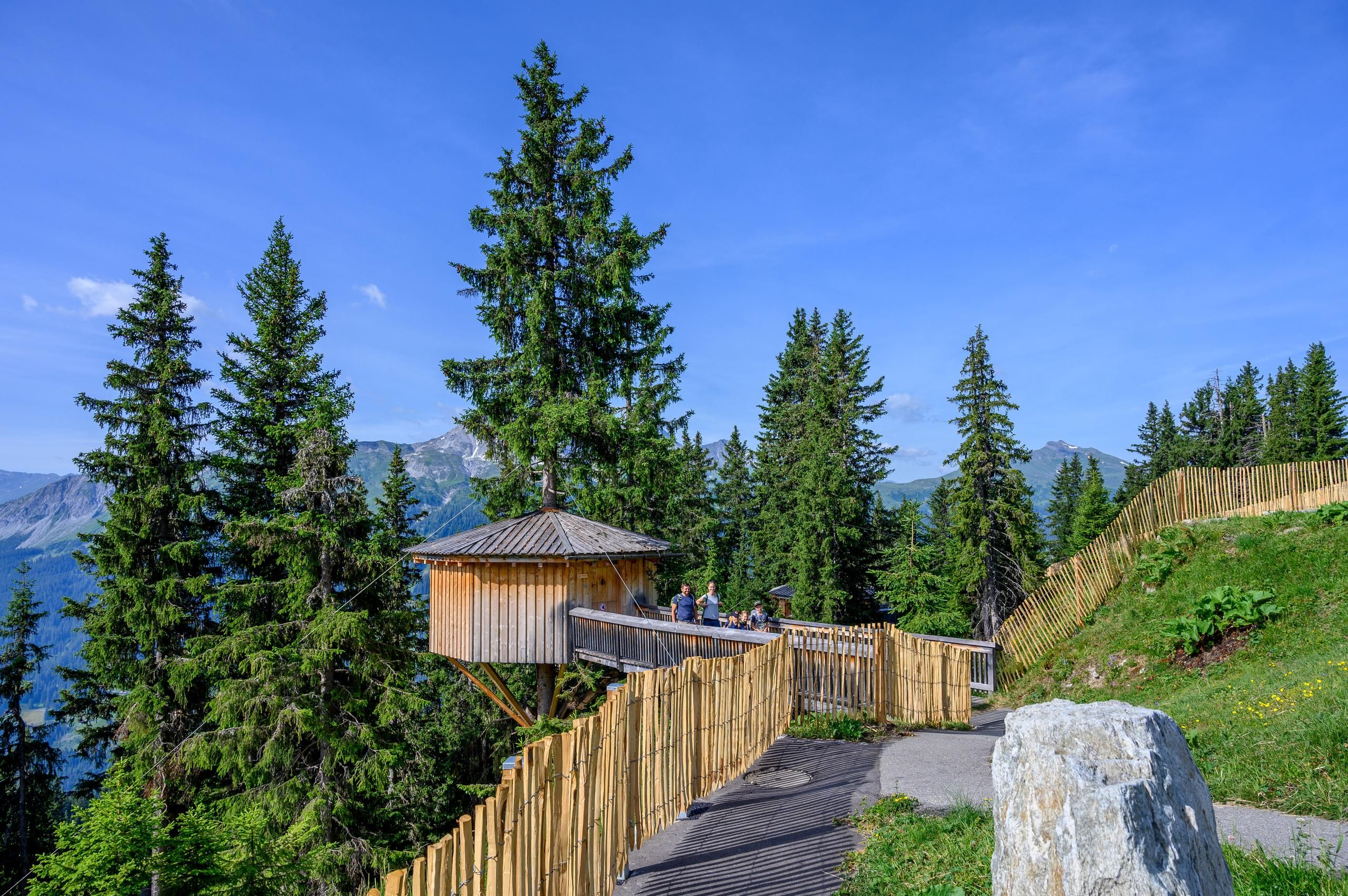 Madrisaland Baumhütte Familie Kinder Sommer