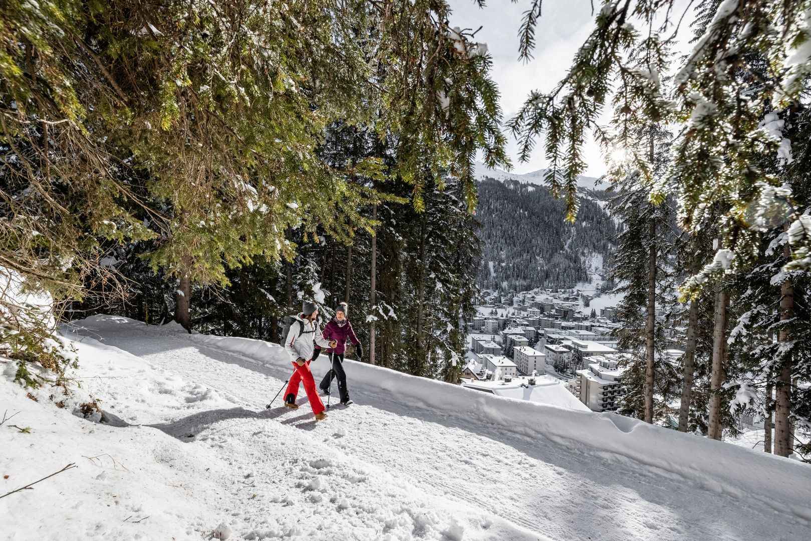 Winterwandern Hohe Promenade in Davos