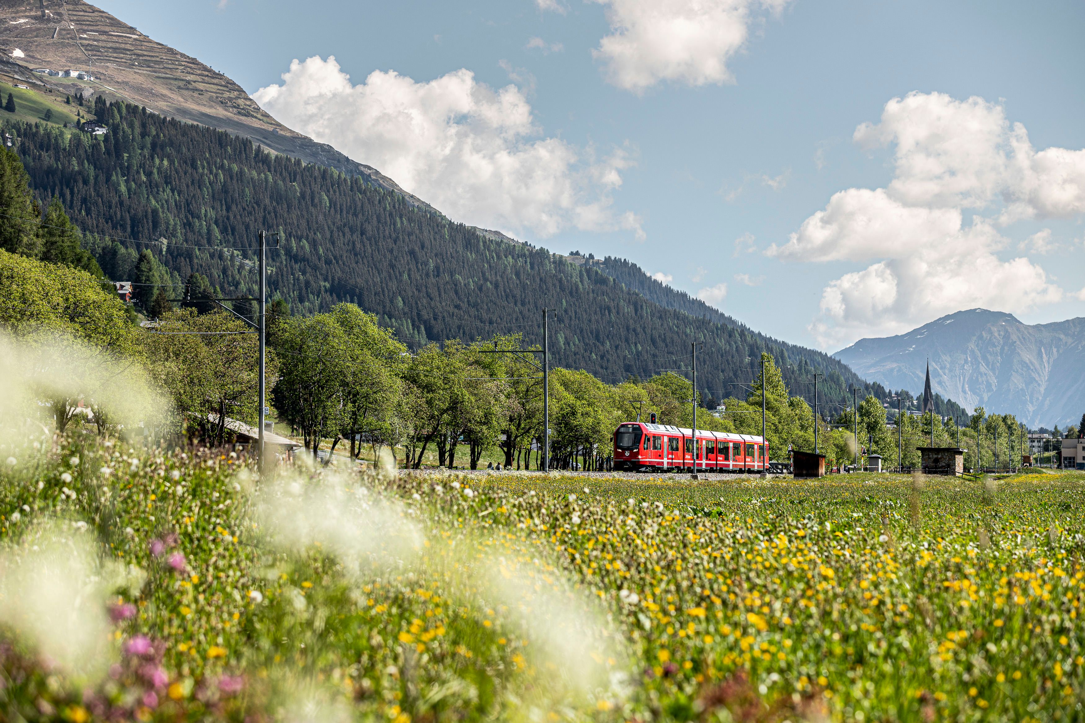 Bahn Sommer Davos Klosters
