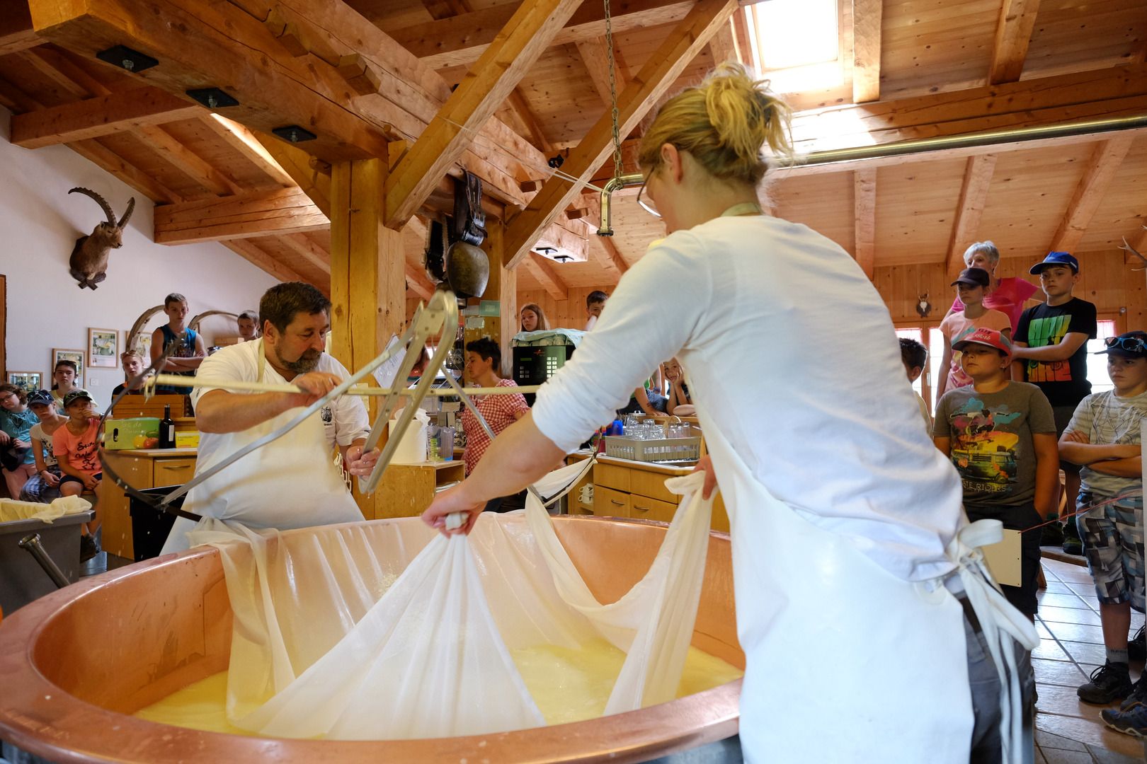 Käserei Schaukäserei Alp Landwirtschaft Käserin Käse