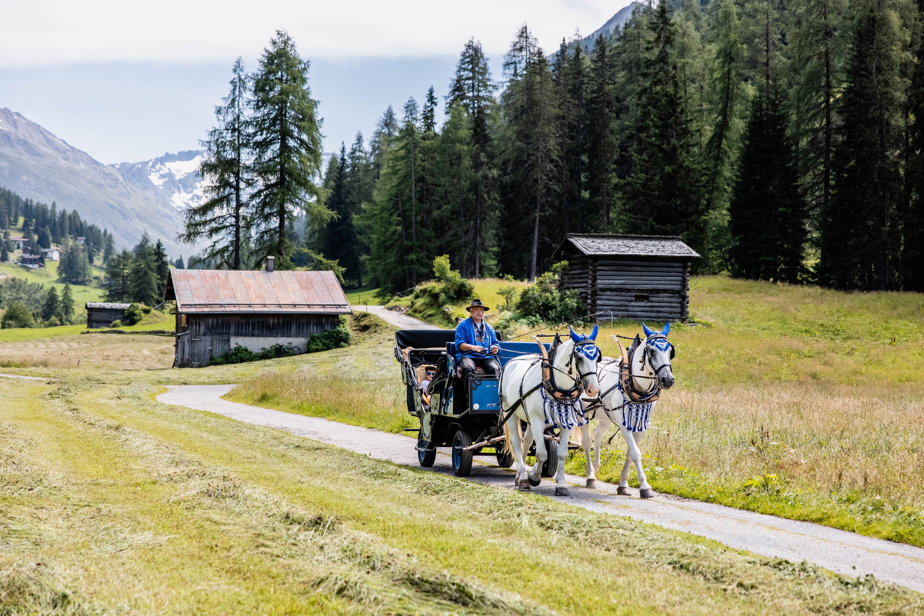 Carriage ride in Summer horses Davos