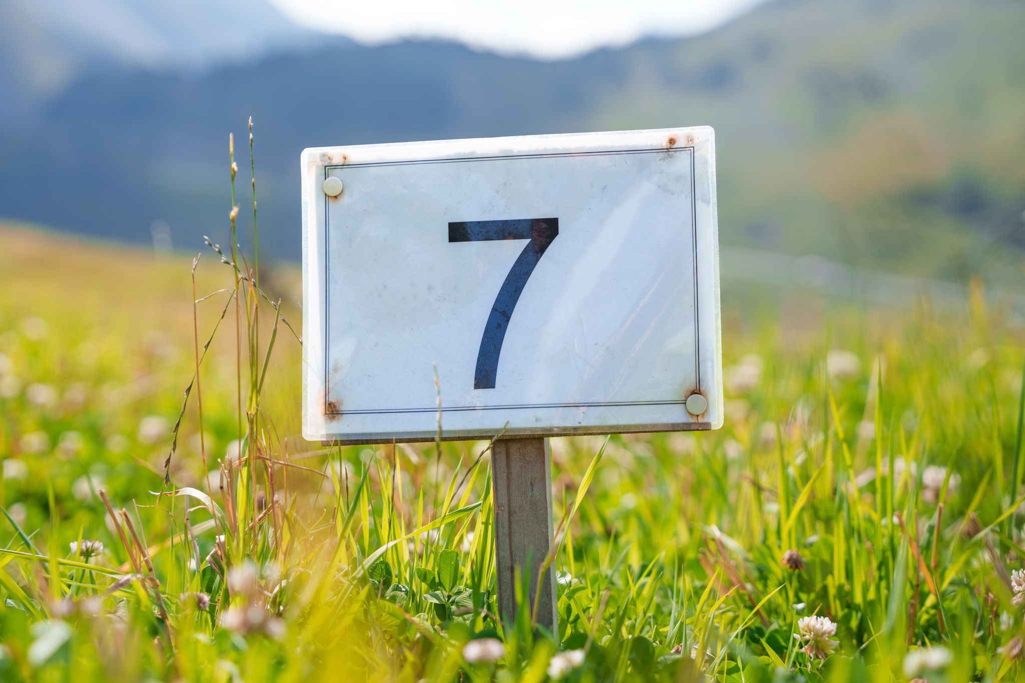Disc Golf in den Schweizer Alpen von Davos Klosters.