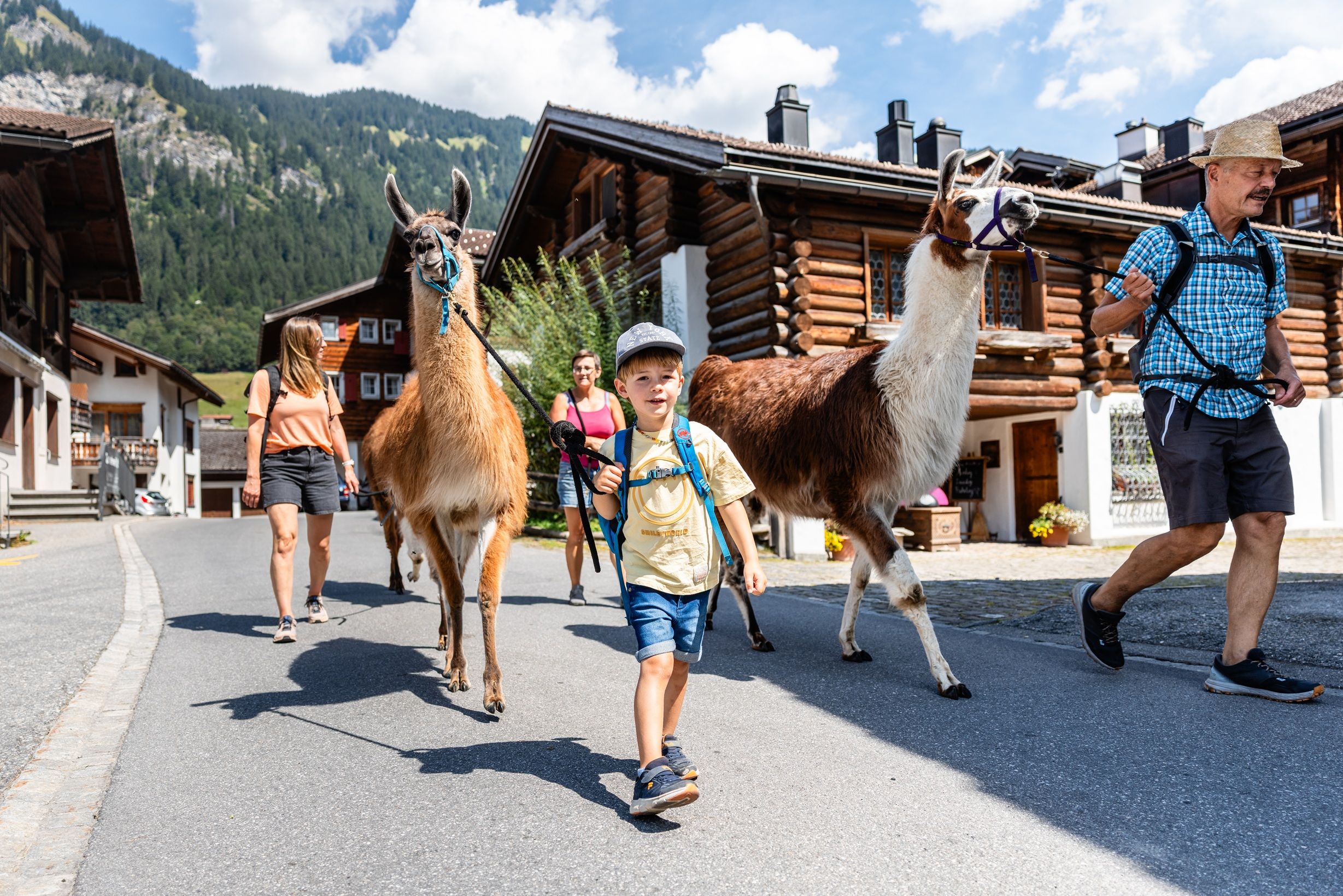 Lamatrekking in Klosters