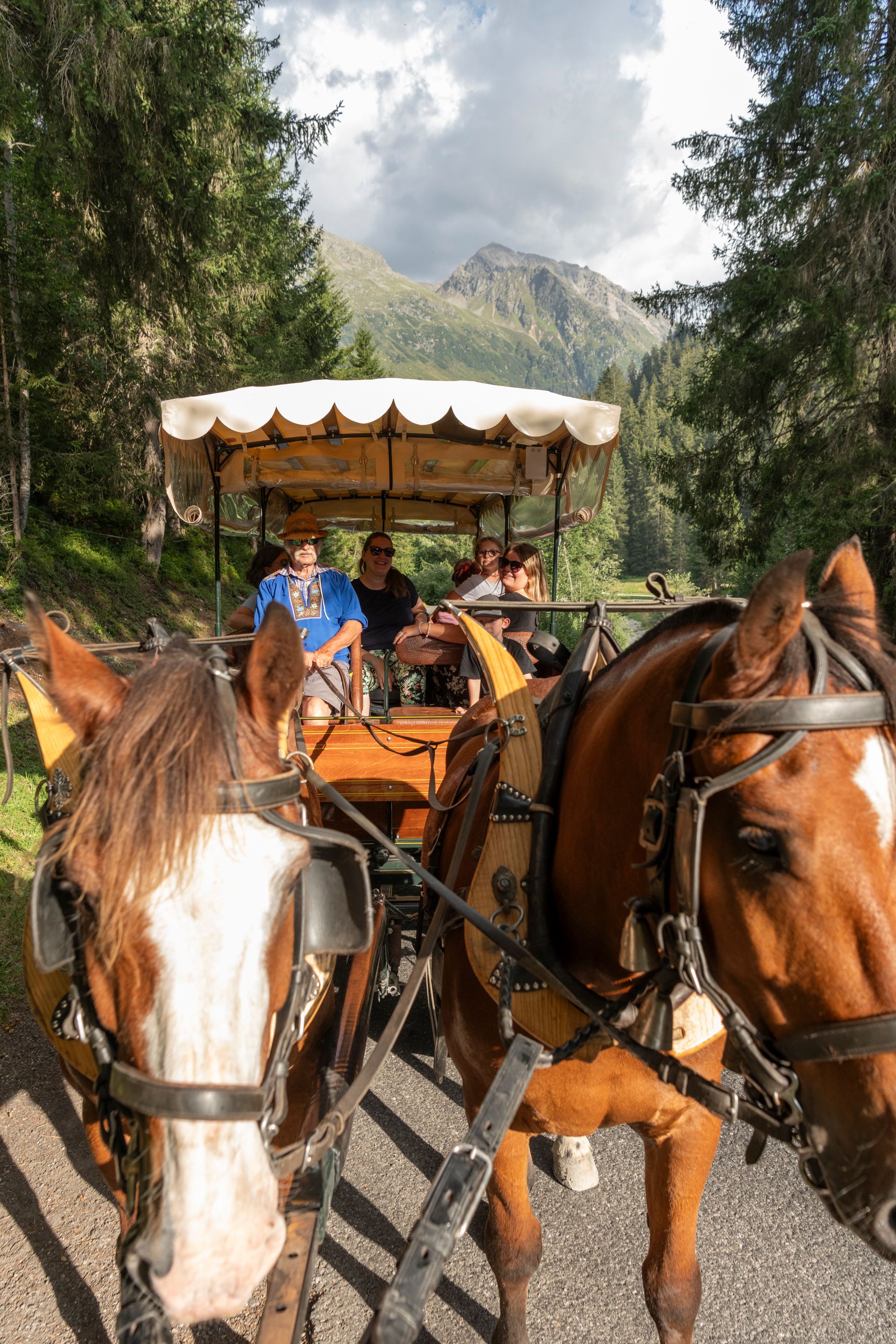 Carriage ride in Summer horses Davos
