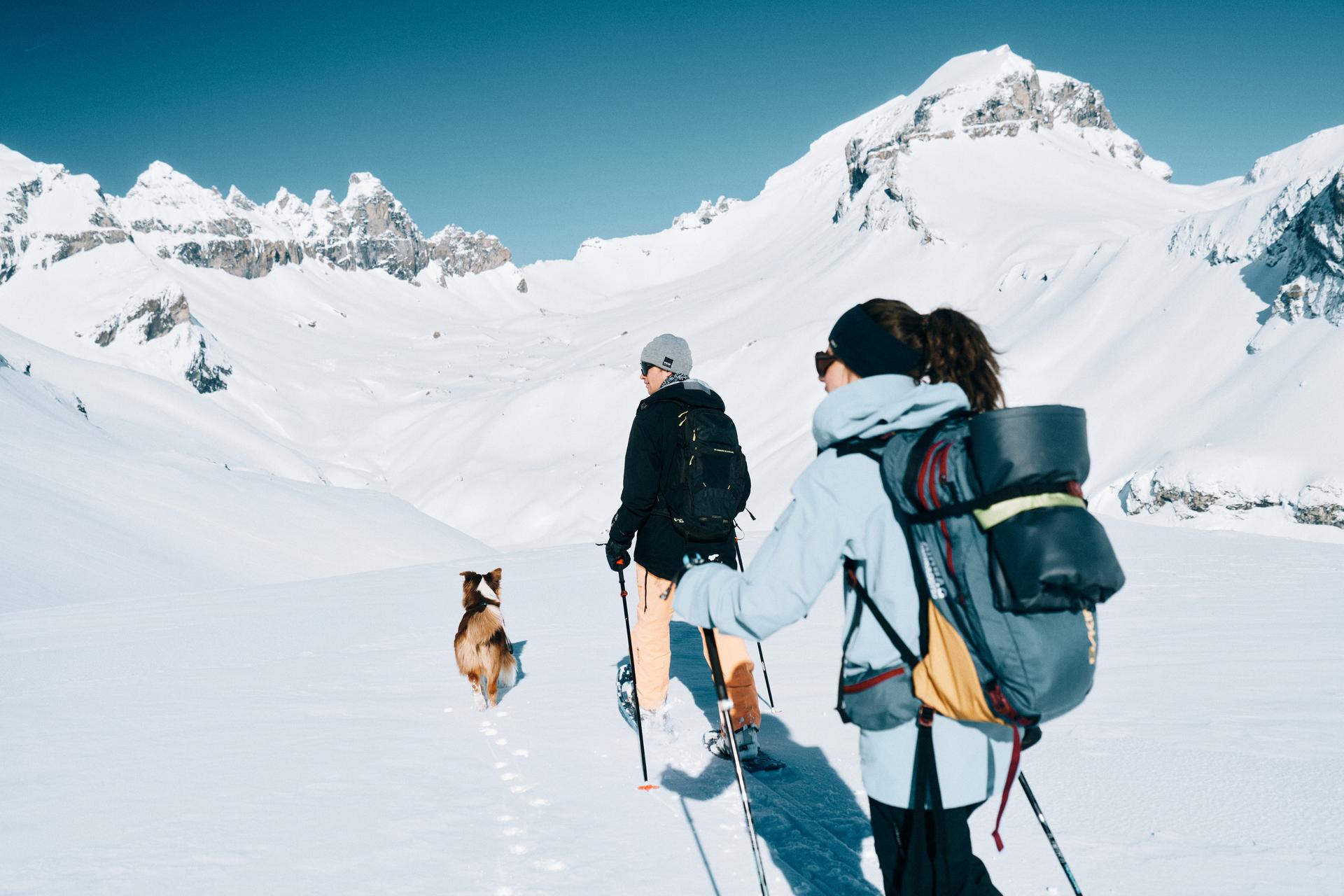 Schneeschuhwandern in Laax mit Hund